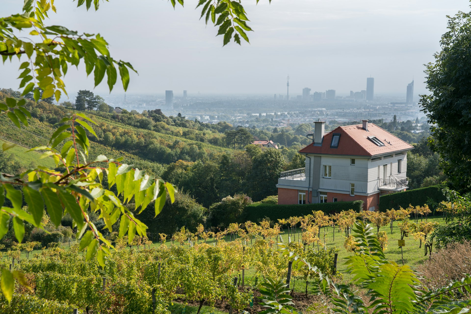 View over the wine fields around Grinzing, Vienna, Austria