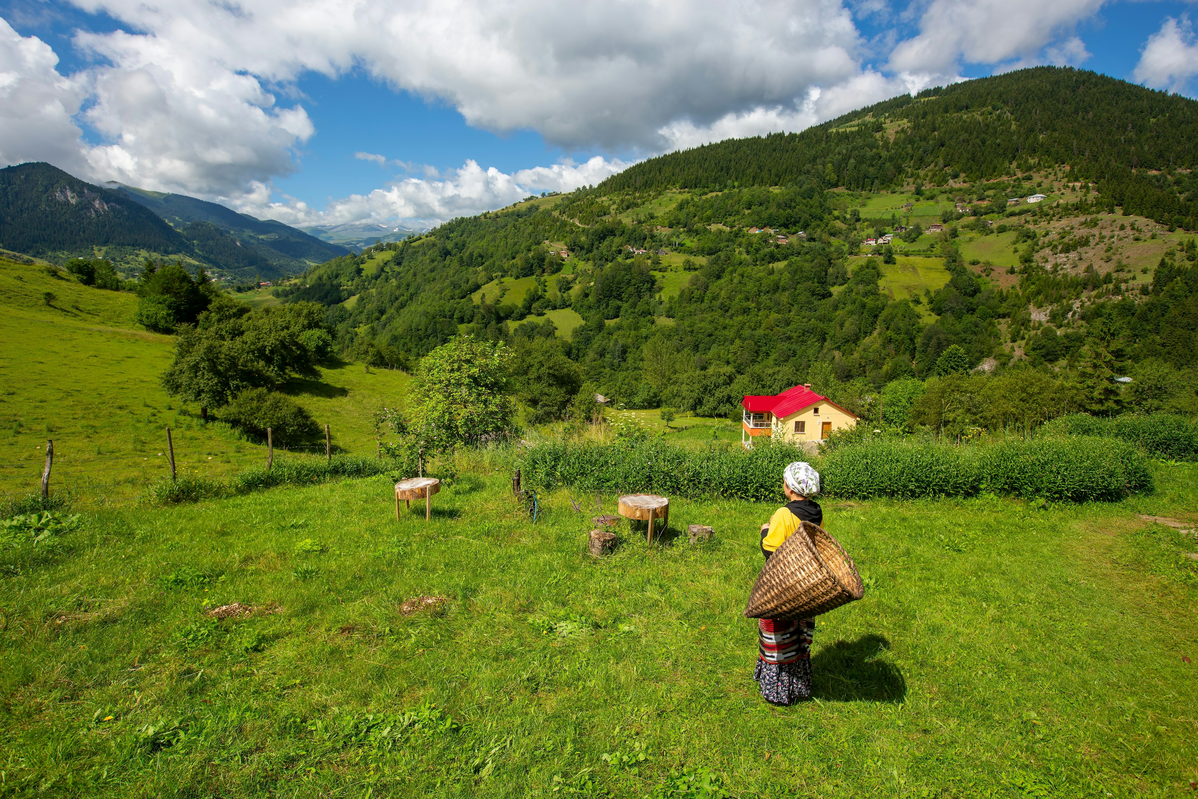 A woman with a basket on her back gazes out over a rural hilly landscape