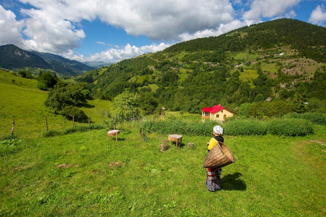 A woman with a basket on her back gazes out over a rural hilly landscape