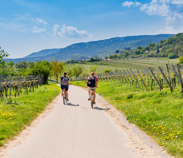 7 rewilding projects you can visit in Europe - Lonely Planet