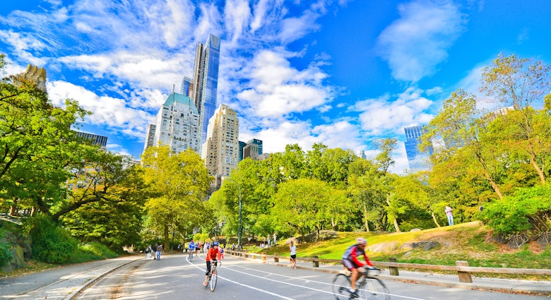 View of Central Park in a sunny day in New York City.
314518865
activity, america, apartment, architecture, autumn, bicycle, blue, building, central, city, cityscape, cloud, daylight, exercise, foliage, forest, garden, green, jogging, leisure, life, manhattan, midtown, morning, new, offices, outdoors, panorama, park, relaxing, rock, running, scene, sky, skyline, skyscraper, sports, states, summer, sun, sunlight, sunny, tourism, tower, travel, tree, united, urban, usa, walking, york
