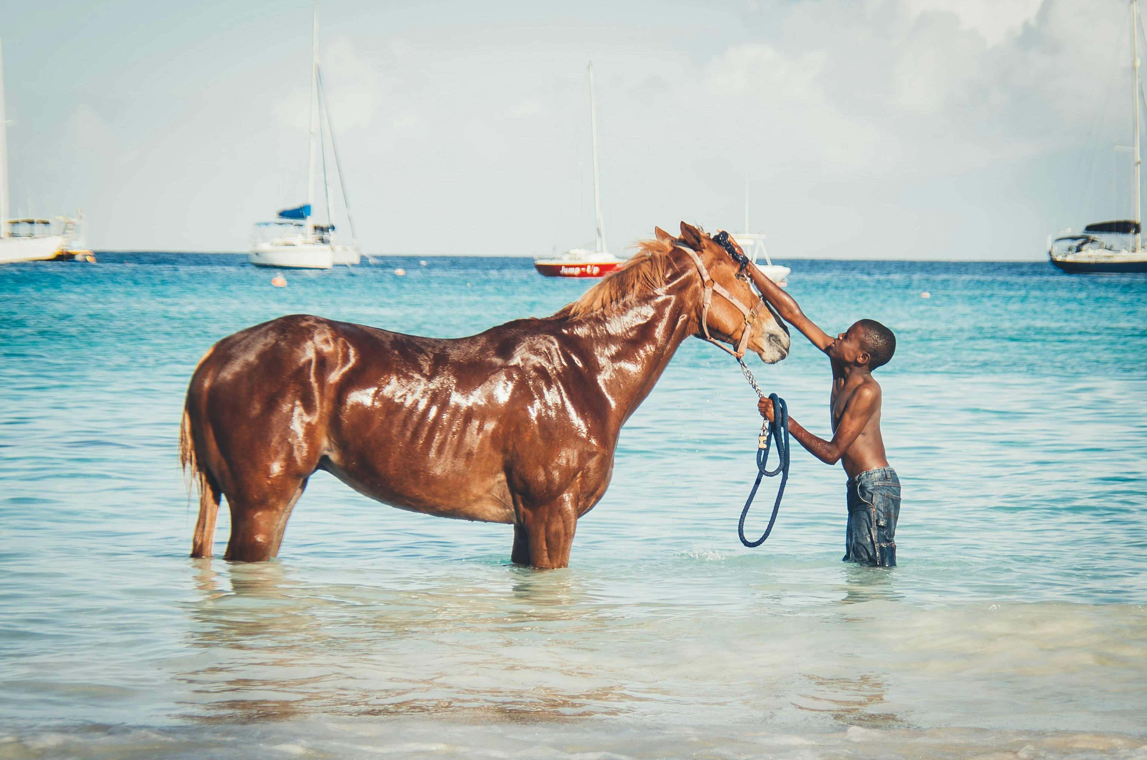 Boy bathing a horse in the ocean