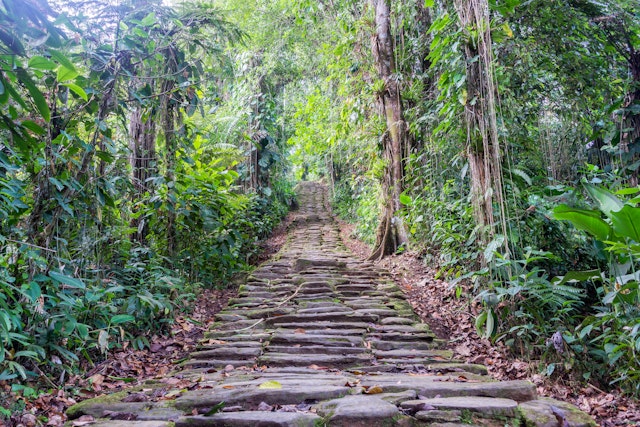 Stone stairs in the dense green jungle at Ciudad Perdida, the lost city of Colombia, in Parque Nacional Natural Sierra Nevada de Santa Marta
