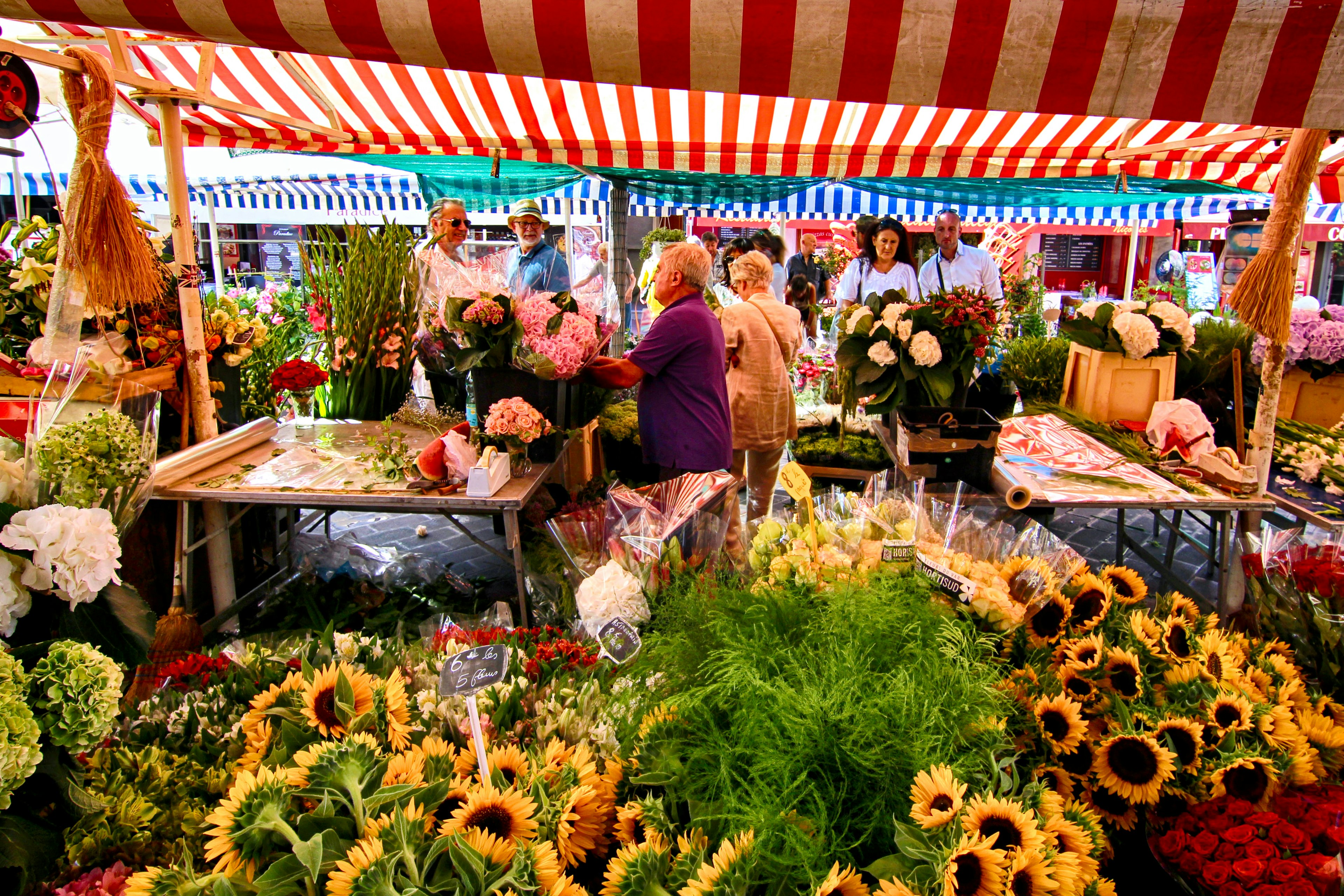 Flowers on display at the Marché aux Fleurs Cours Saleya, a popular market the OId Town of Nice, Côte d’Azur, France