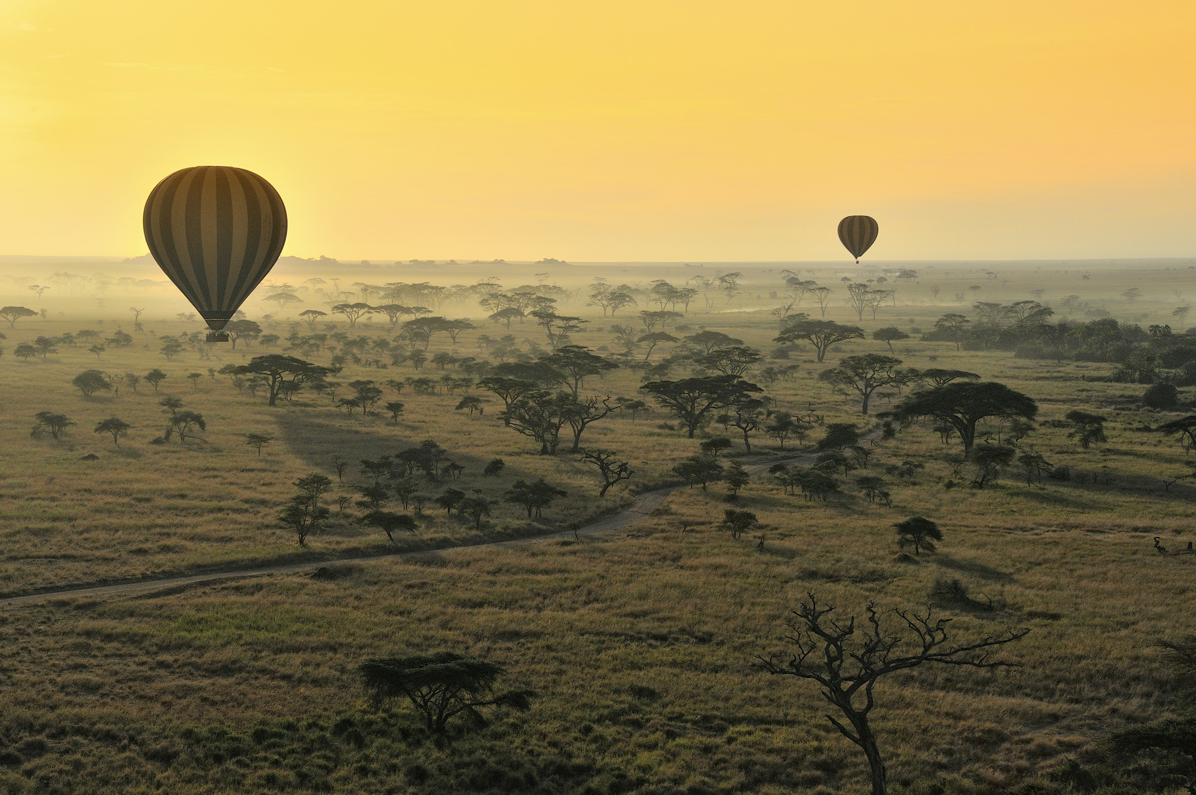 Hot-air balloons at sunrise over a vast grassy plain