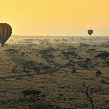 Hot-air balloons at sunrise, Serengeti, Tanzania, Africa
sunrise, hot air balloon, Landscape, Travel, Transport, Sunrise, Africa, Tree, East Africa, Flight, Tanzania, Outdoors, Valley, Exploration, Adventure, Nobody, Scenics, Rural Scene, Hot Air Balloon, Serengeti, Aerial View, Nikon D3s, Horizon Over Land, Two Objects, Diana Robinson, view from a hot air balloon, Serengeti sunrise