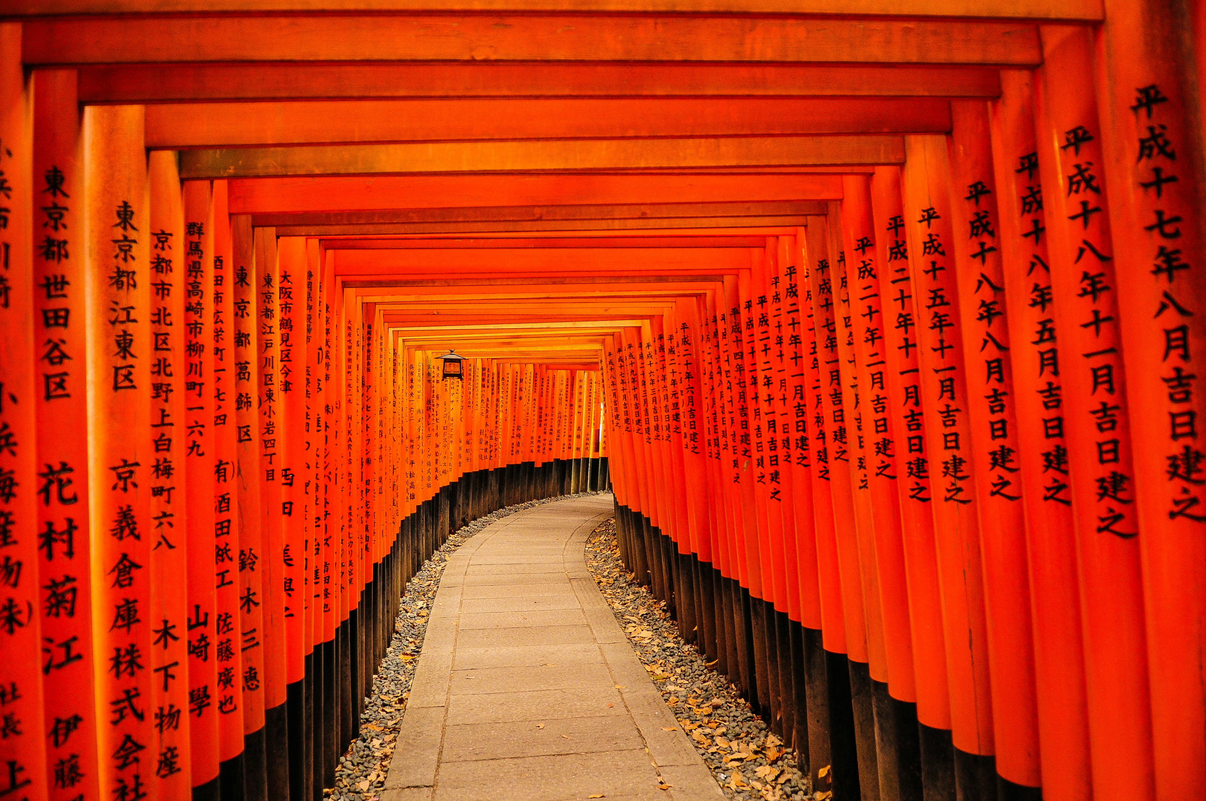 A path is lined with red torii (shrine gates) featuring Japanese writing at Fushimi Inari-Taisha