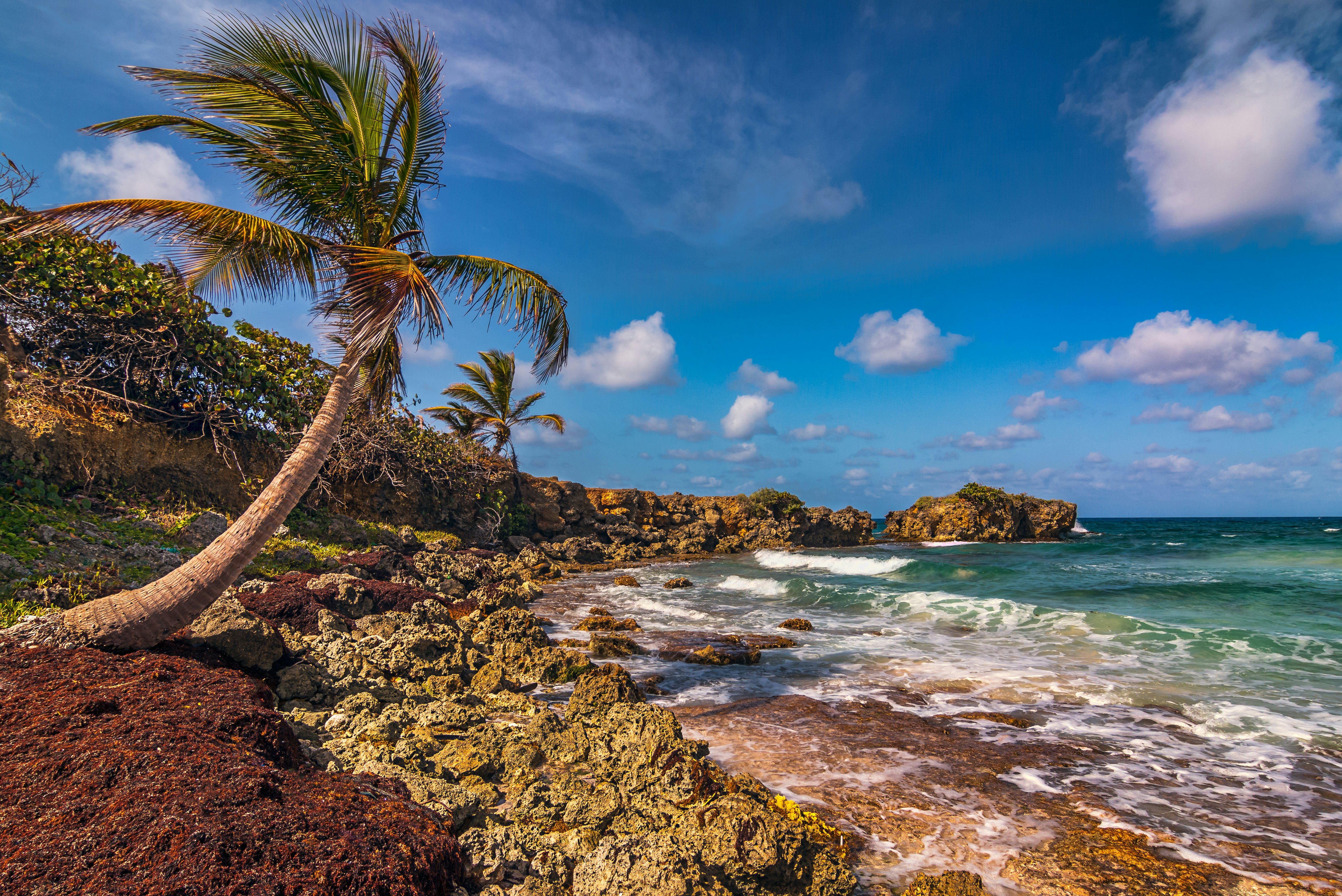 A sunny day at the beach in Jamaica