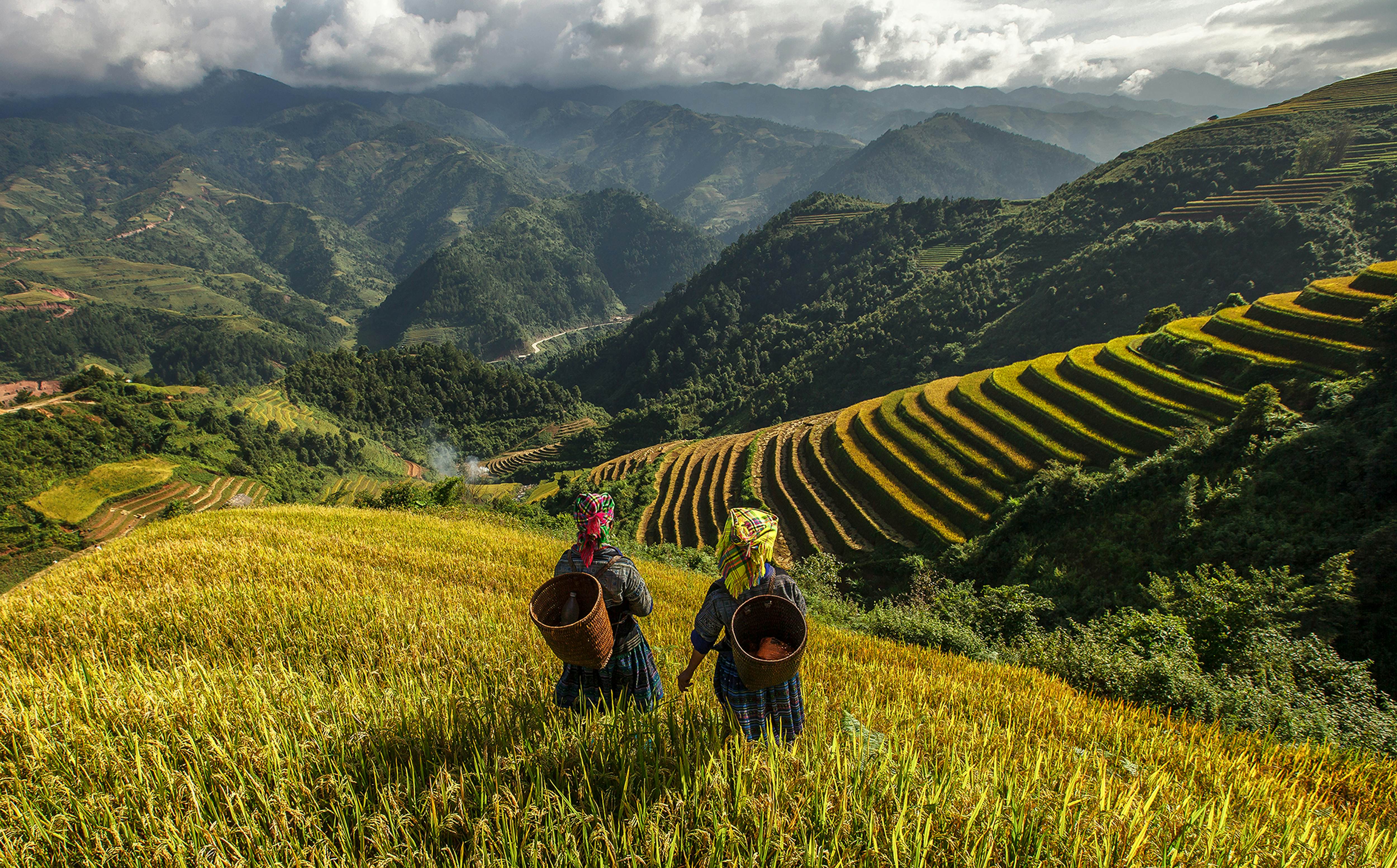 Discover Family Visit in Vietnam Essential Visa Tips for Norwegians
