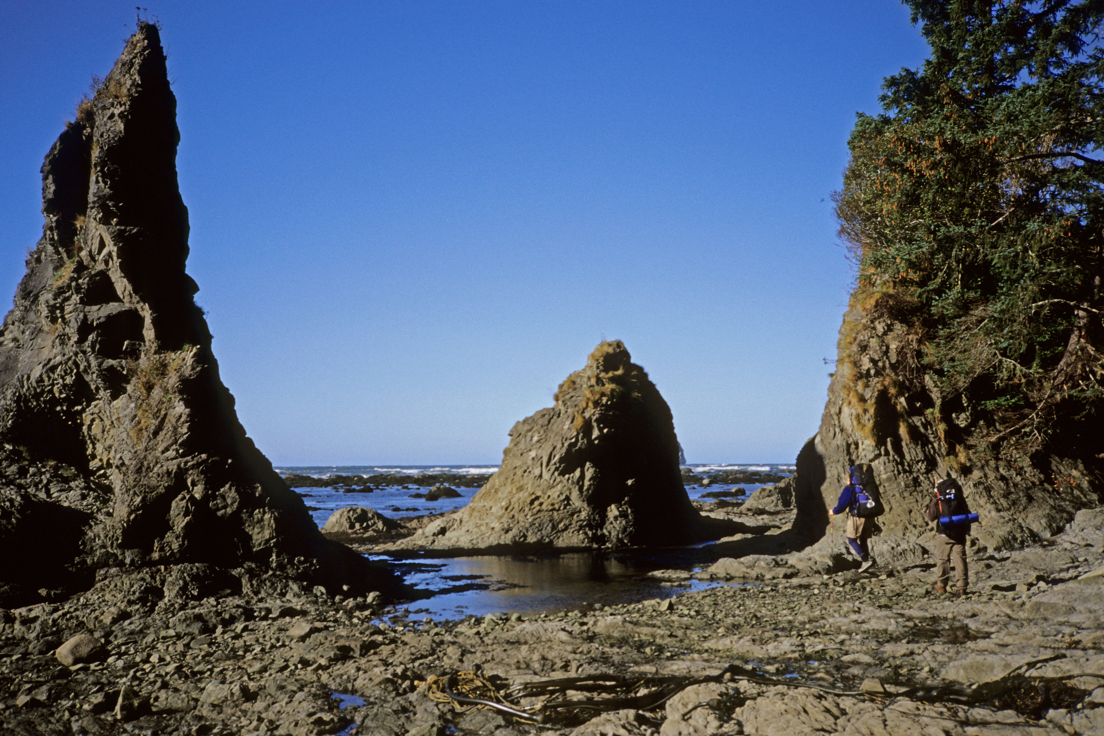 Hikers on Olympic Coast near Wedding Rocks Cape Alava and Lake Ozette trail, Olympic National Park, Washington