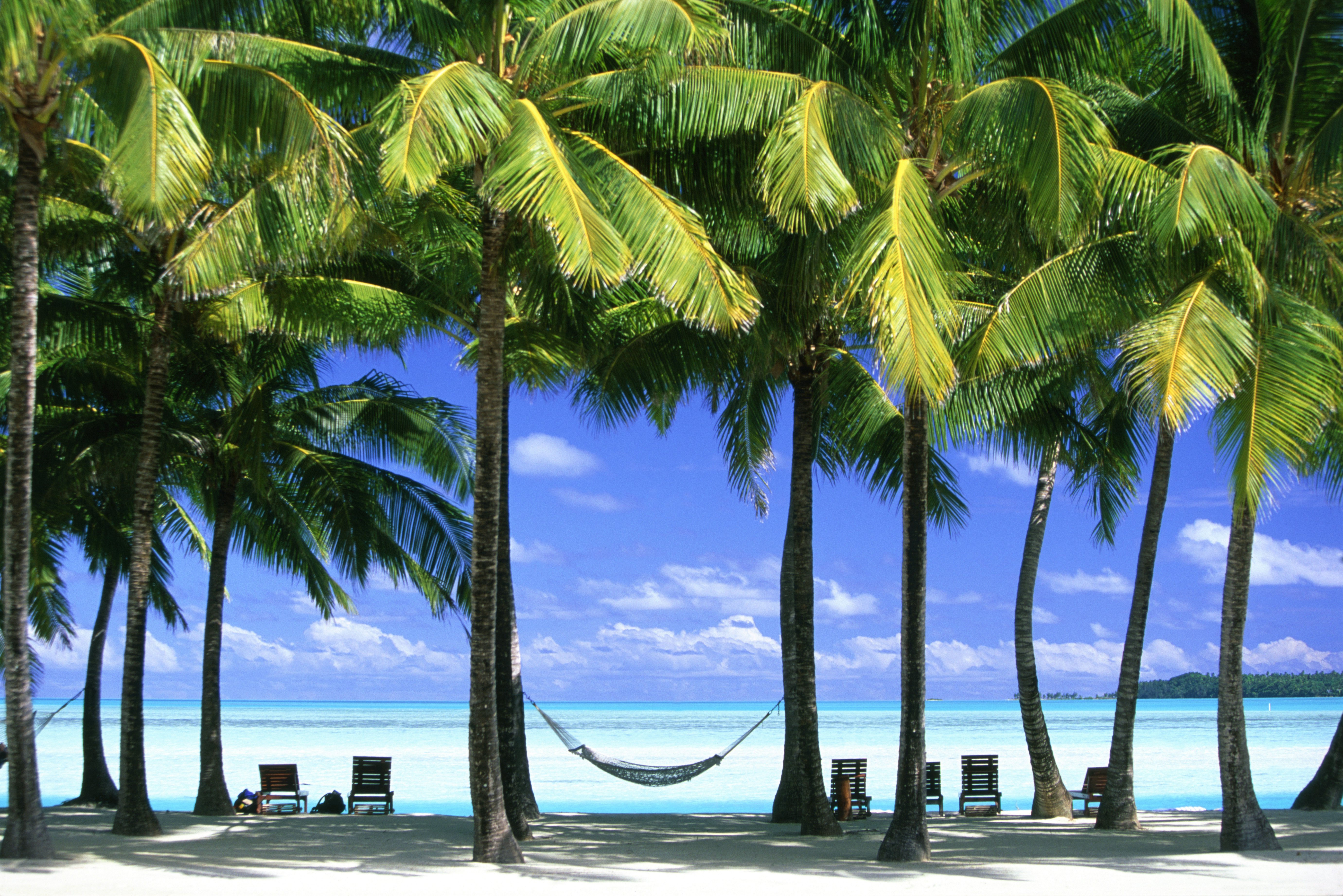 Palm trees and a hammock on Aitutaki, Cook Islands