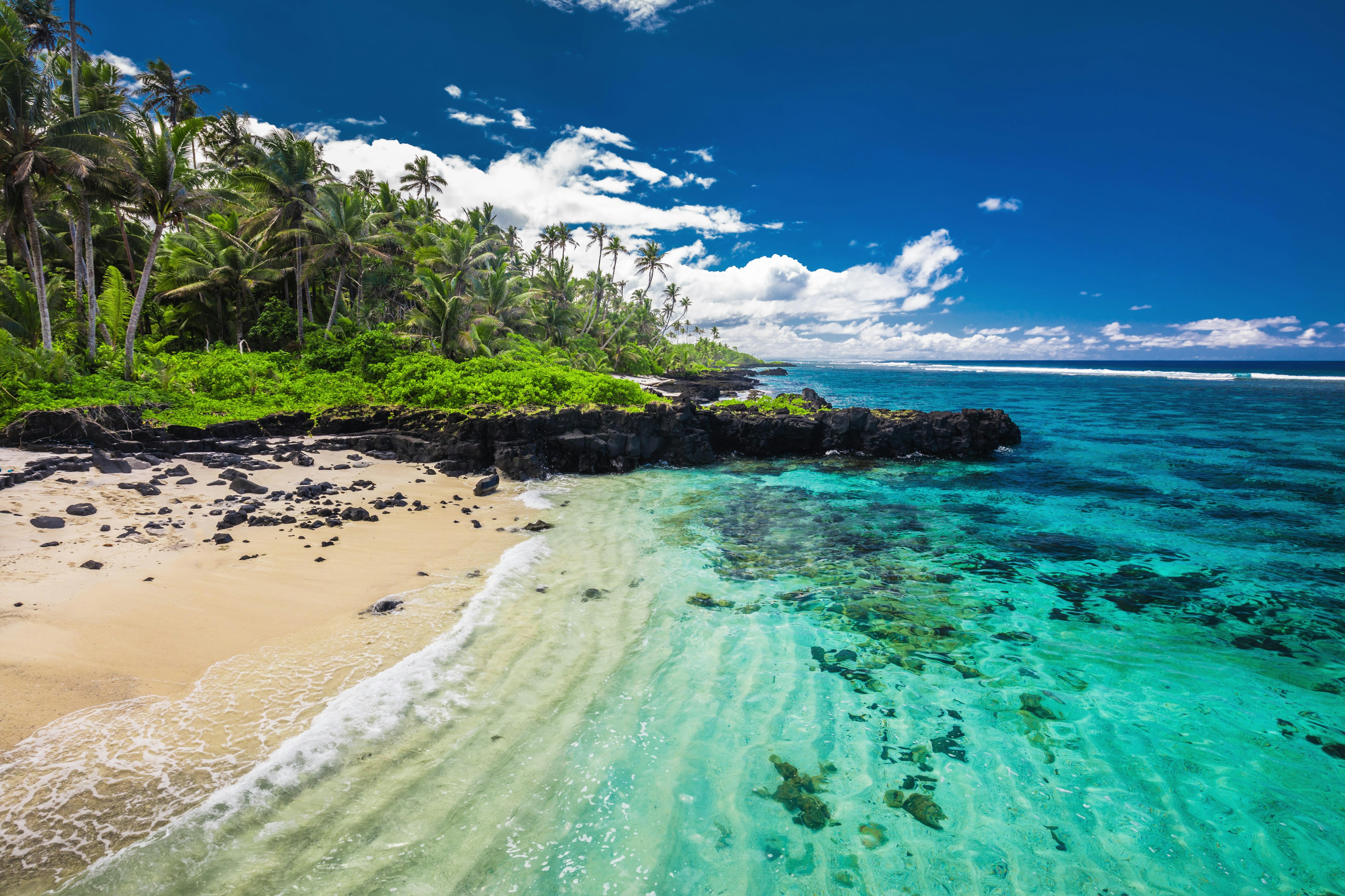 Tropical paradise with wild nature, palm trees and a beach