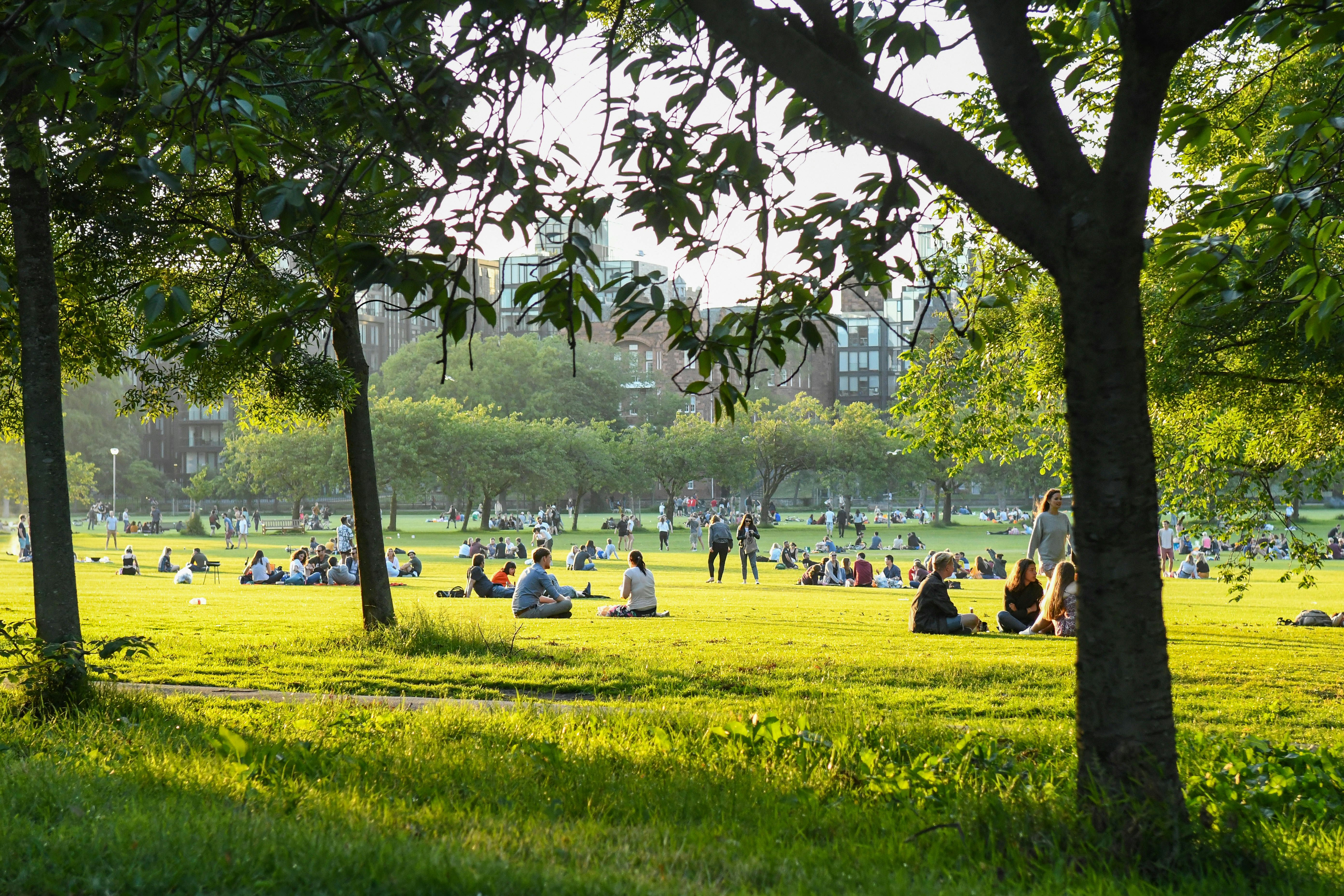 Open parkland in the sunshine with many people sat in small groups on the grass