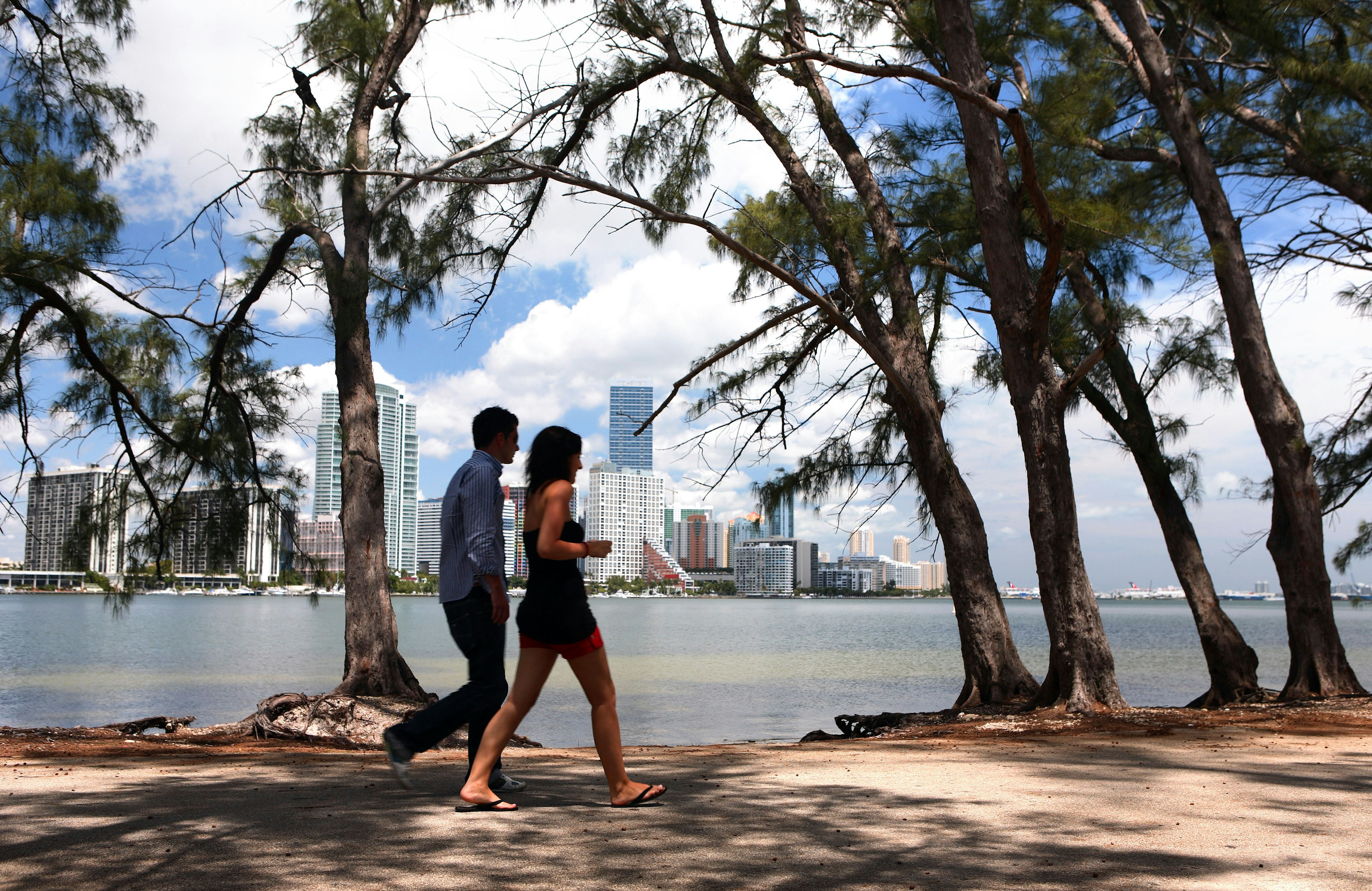 A couple strolling in the shadow of pines, Key Biscayne, Miami, Florida, USA