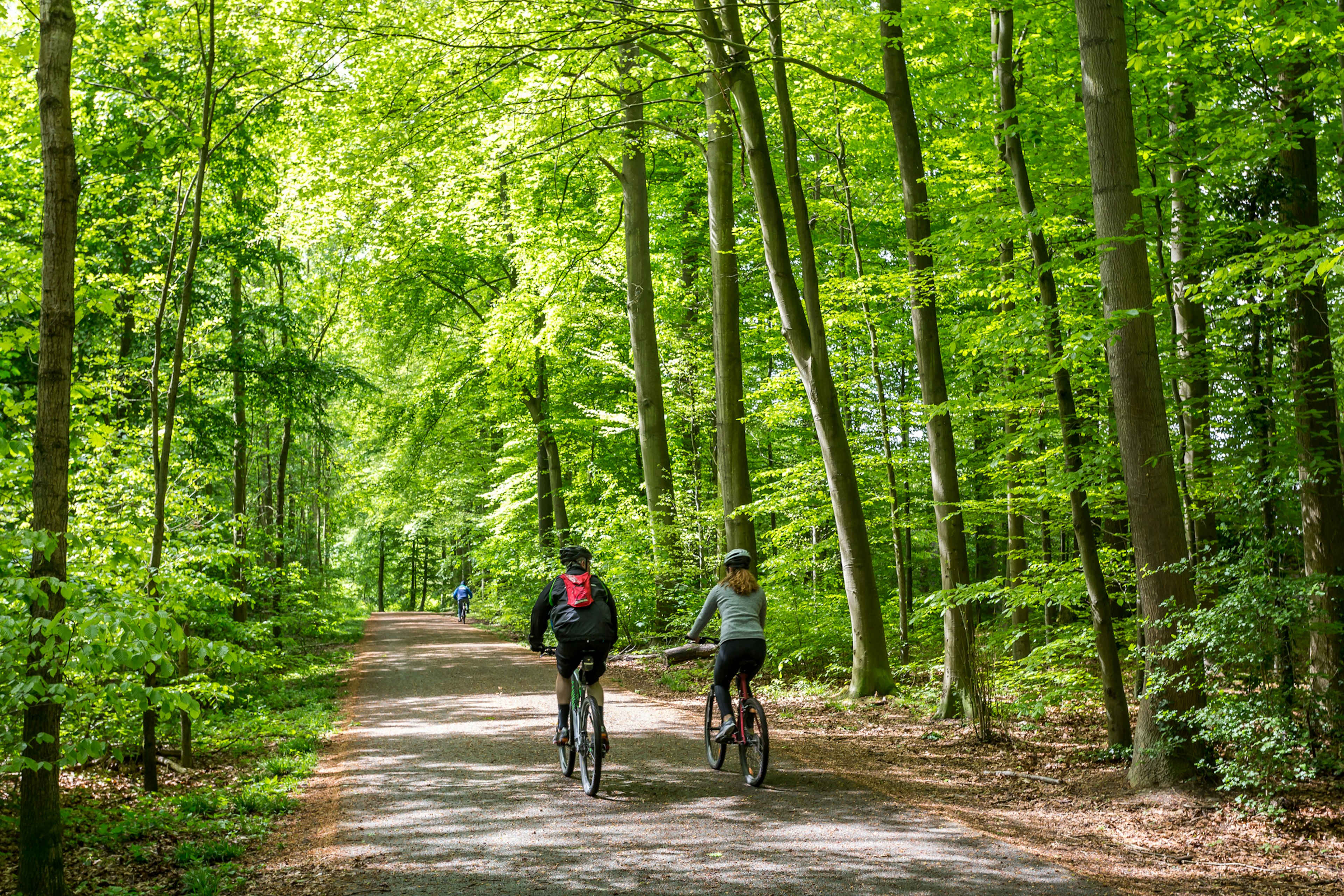 A couple cycling in the Sonian Forest near Brussels