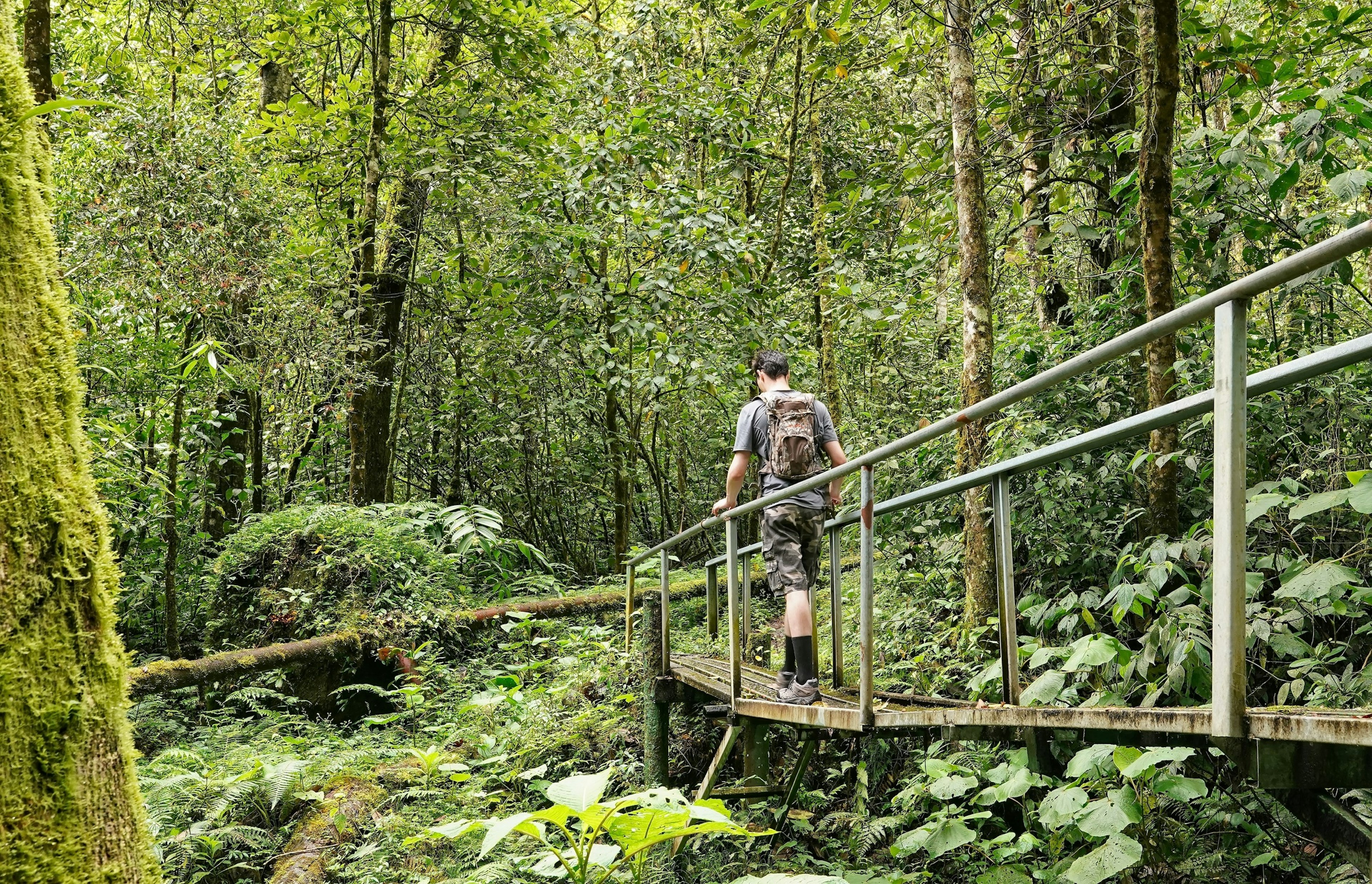 A man wearing a backpack walks across a metal bridge during a hike in Boquete, Panama.