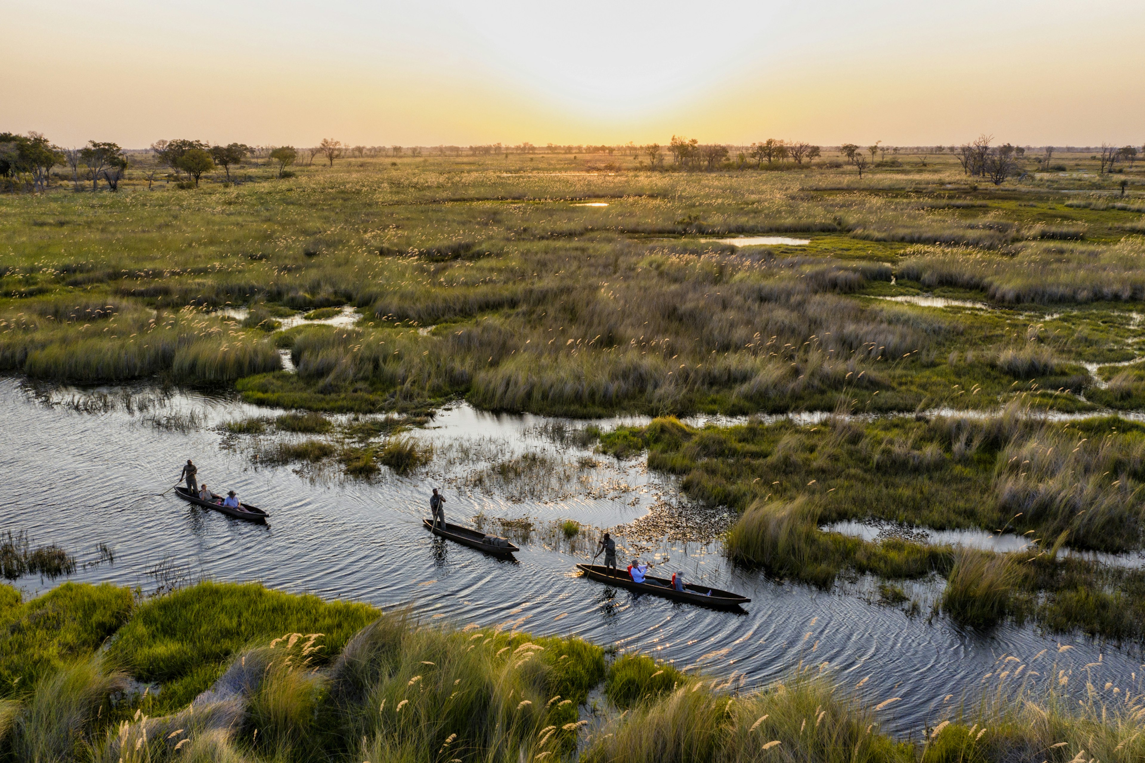 Visitors in mokoro canoes on are paddled along in a flooded grassland