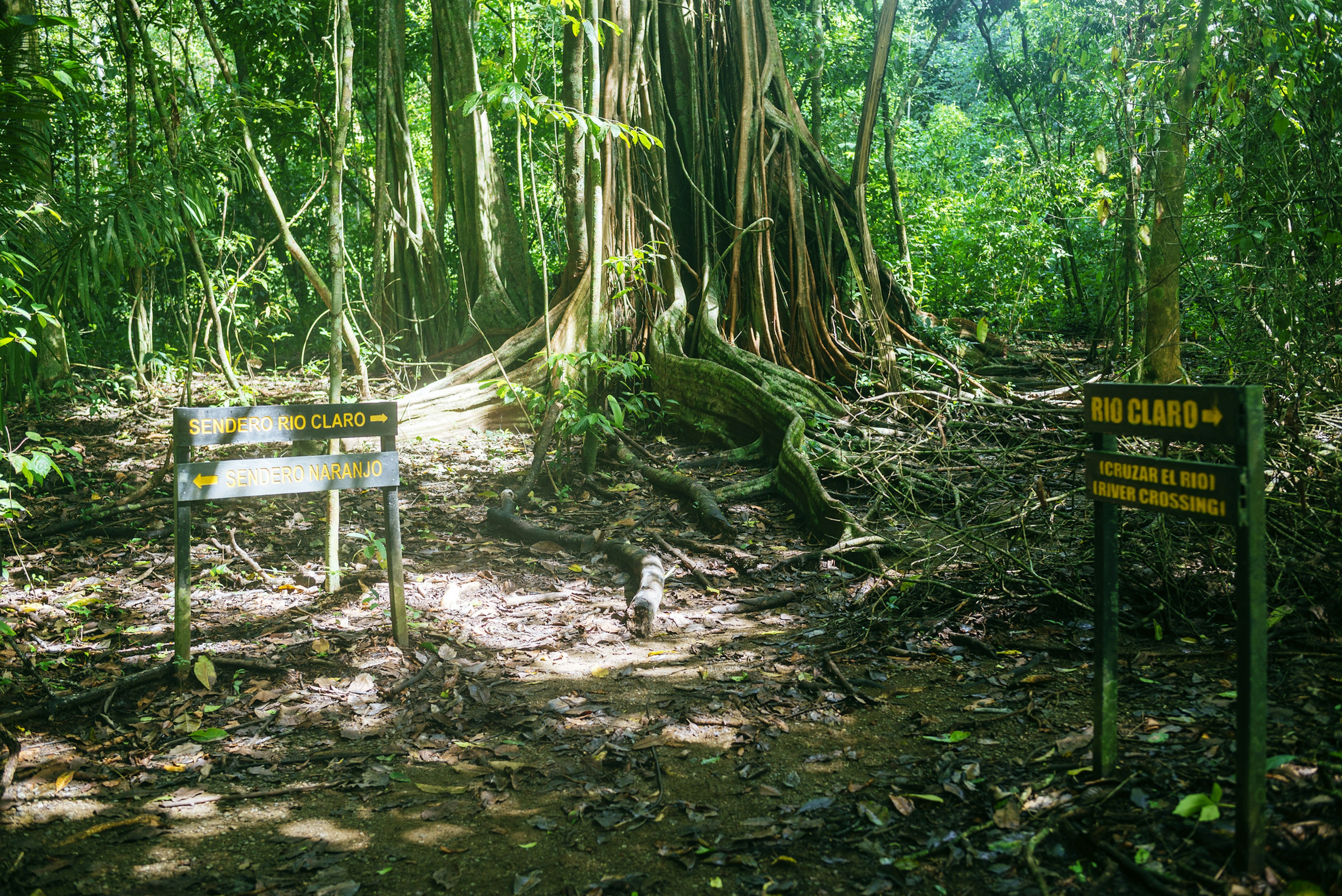 Signs on the roads of Corcovado National Park, Costa Rica