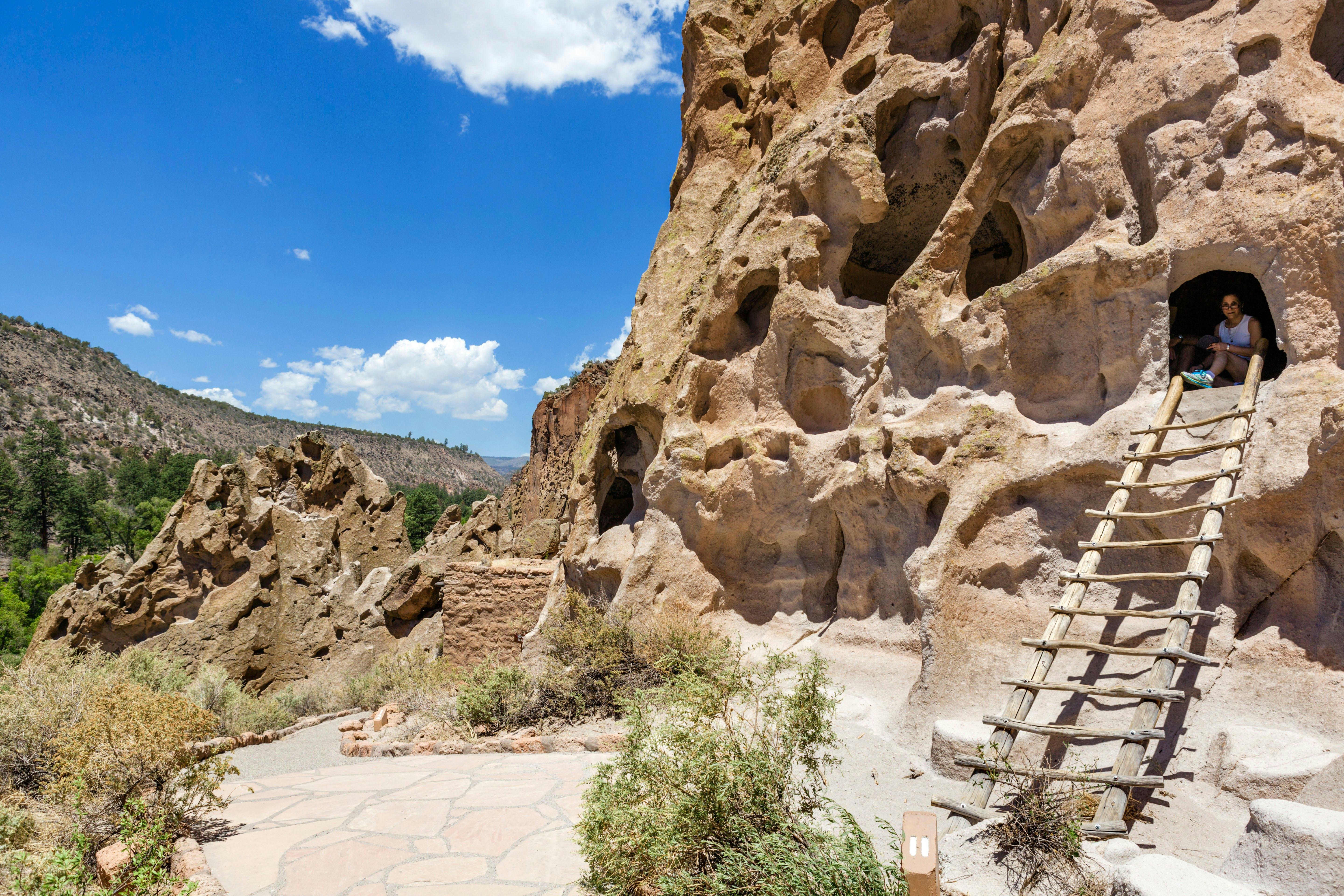 A woman has climbed a wooden ladder in to a cave dwelling in a desert landscape, with green bushes in the foreground