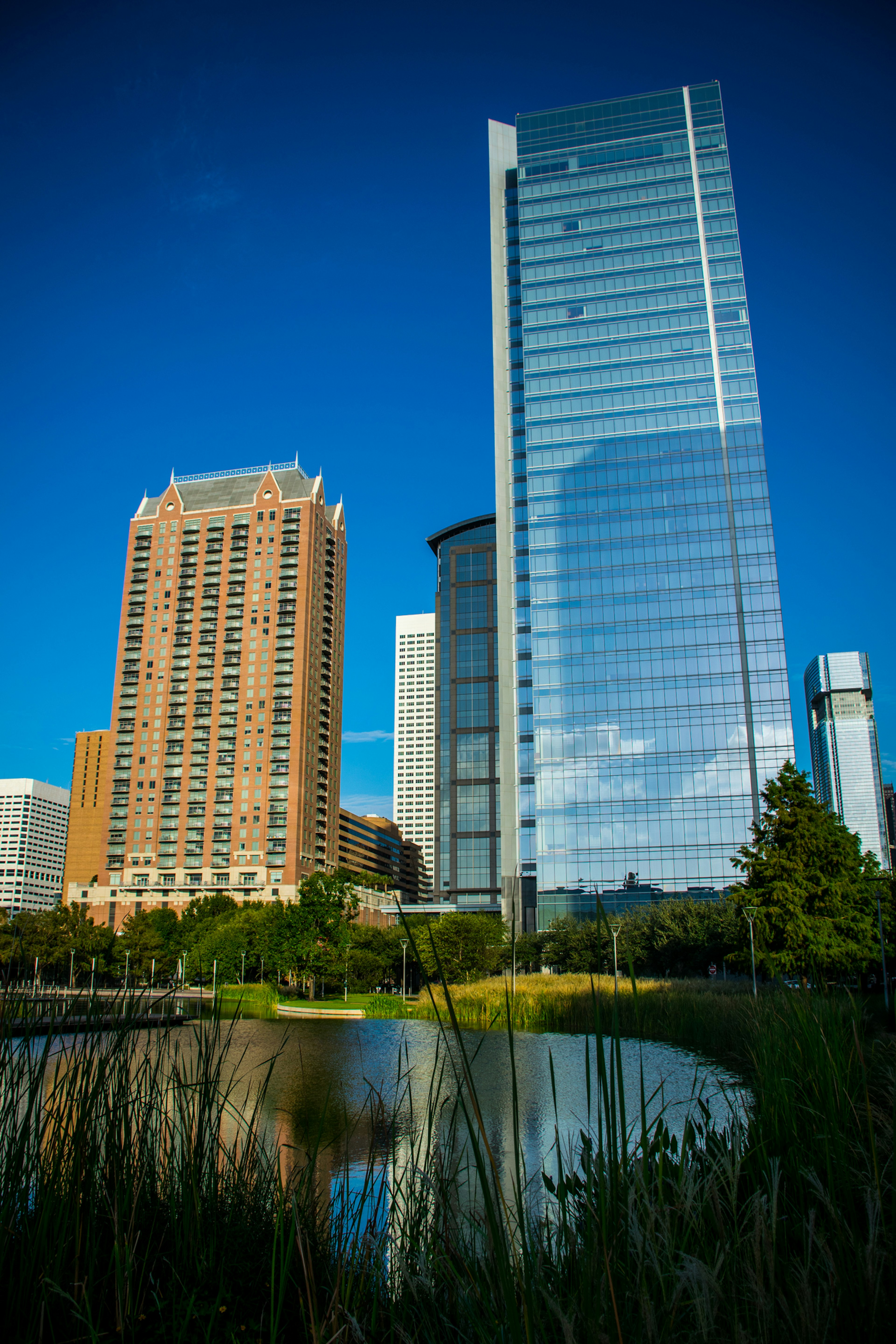 Discovery green park pond water Lilly's and reeds nature escape from Houston Texas Morning Sunrise at Downtown Skyline Cityscape