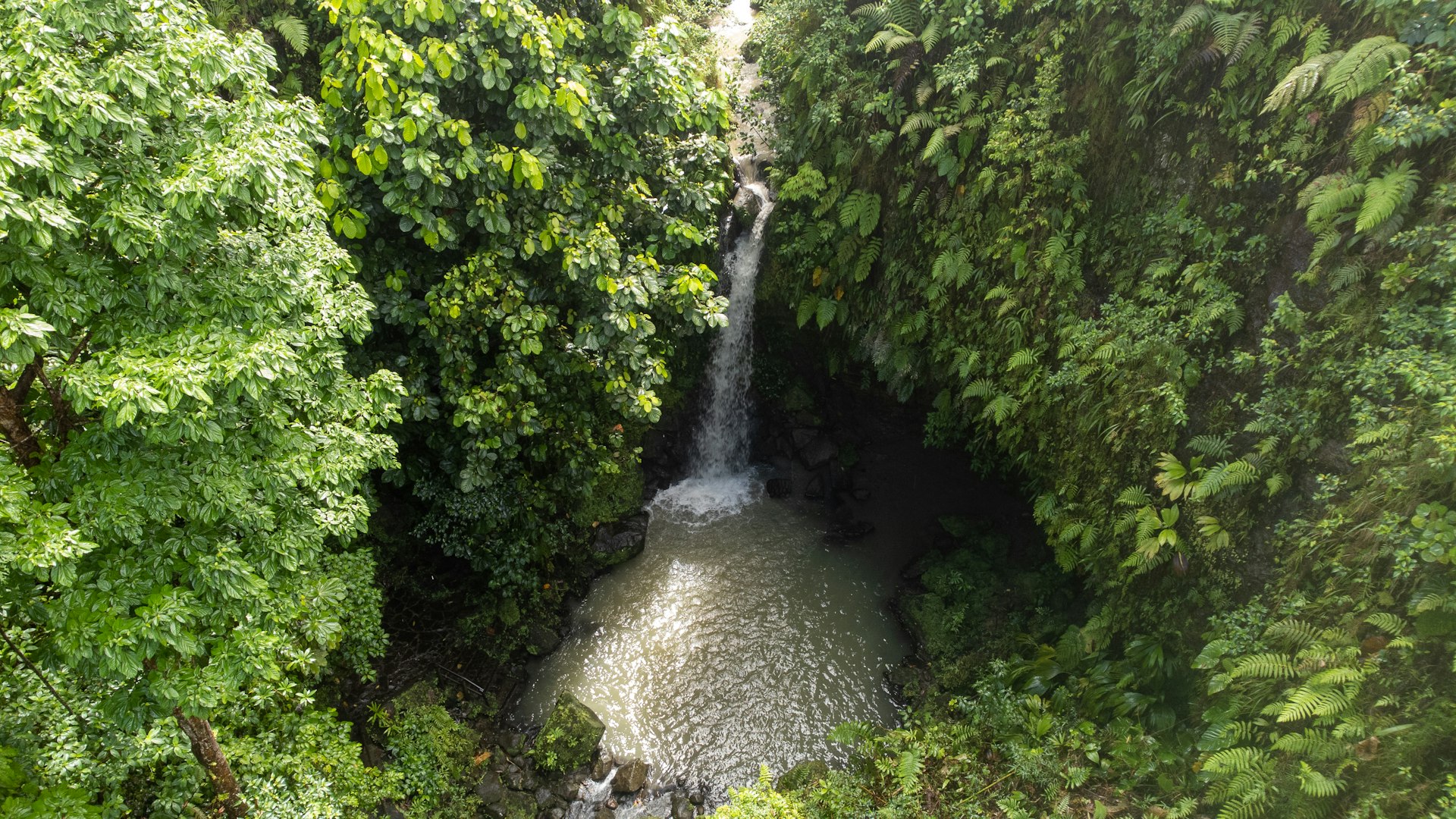 A view from above the waterfall and water of the Emerald Pool in the rainforest of Dominica