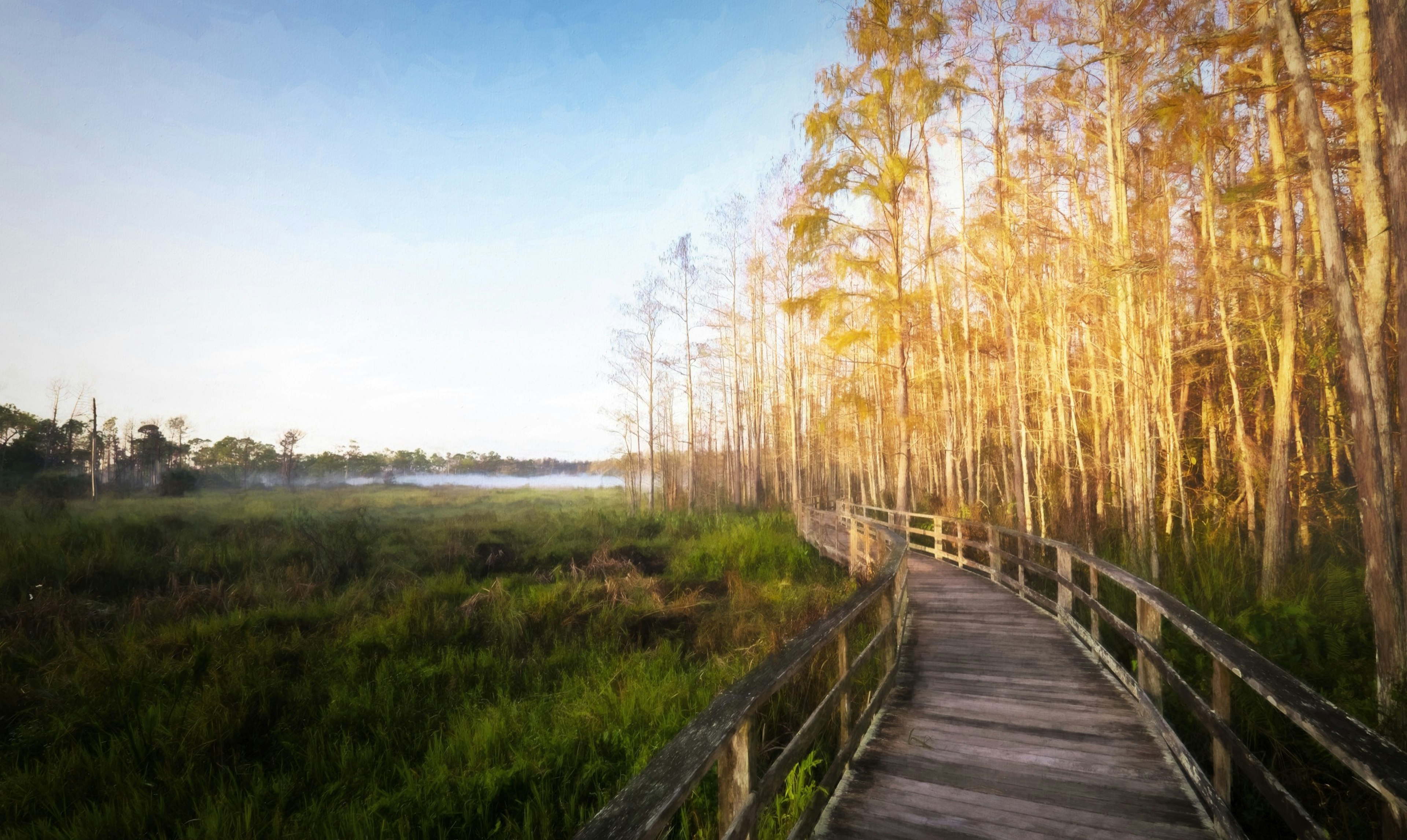 Boardwalk Along the Reserve at Corkscrew Swamp Sanctuary in Naples, Florida