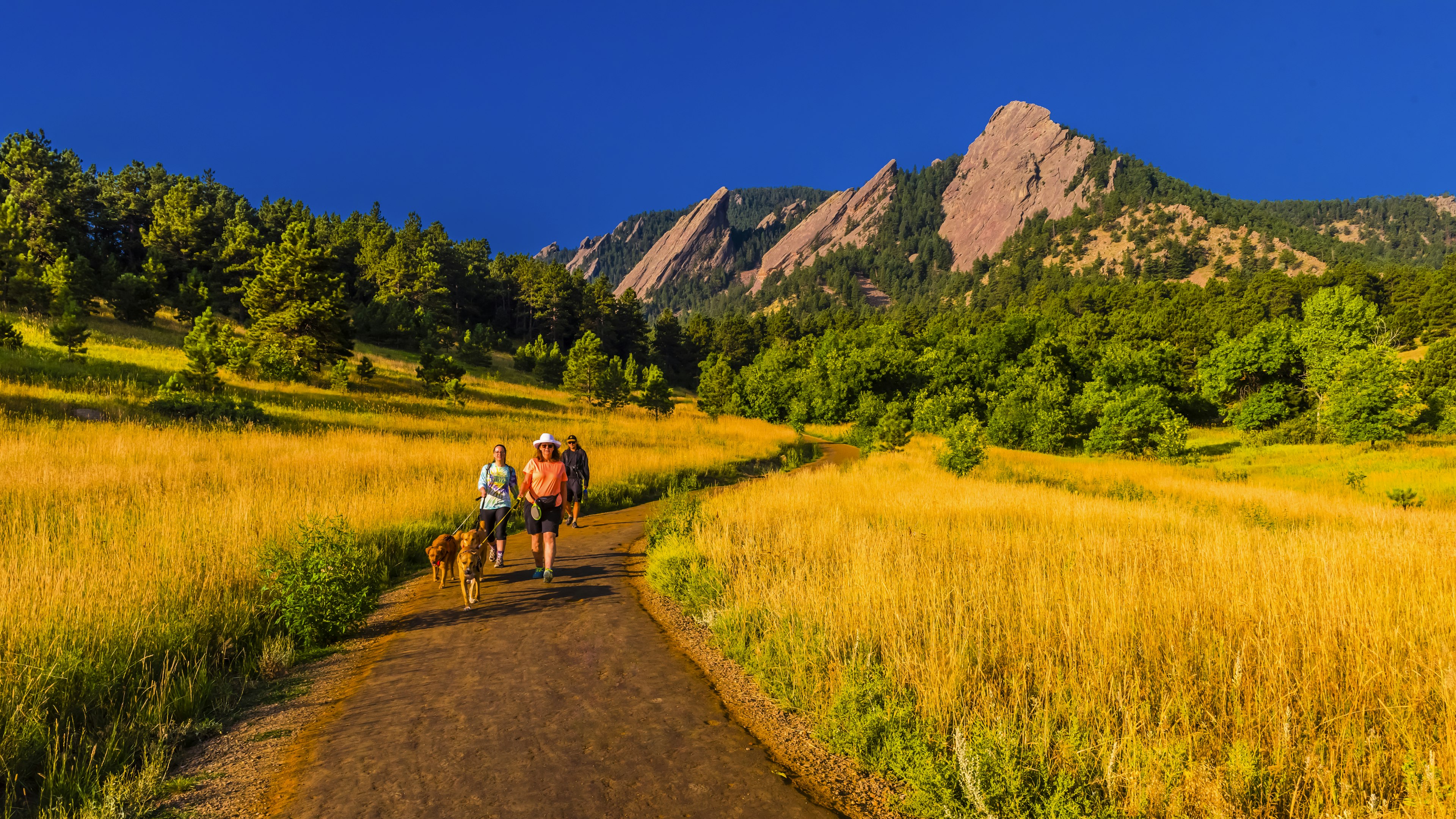 Hikers walking their dogs, The Flatirons rock formations, Chautauqua Park, Boulder, Colorado USA.