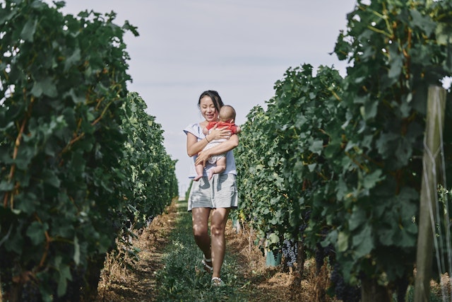 Woman carrying baby girl through vineyard, Bergerac, Aquitaine, France