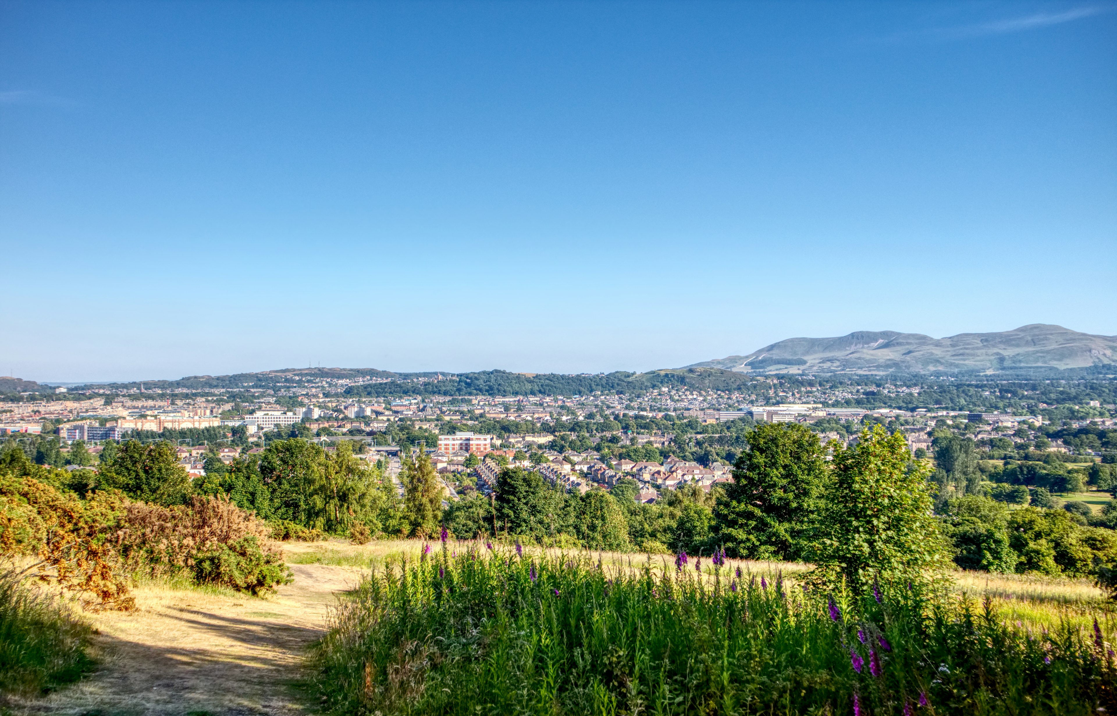 A meadow with purple flowers gives way to a panoramic view of hills and urban areas