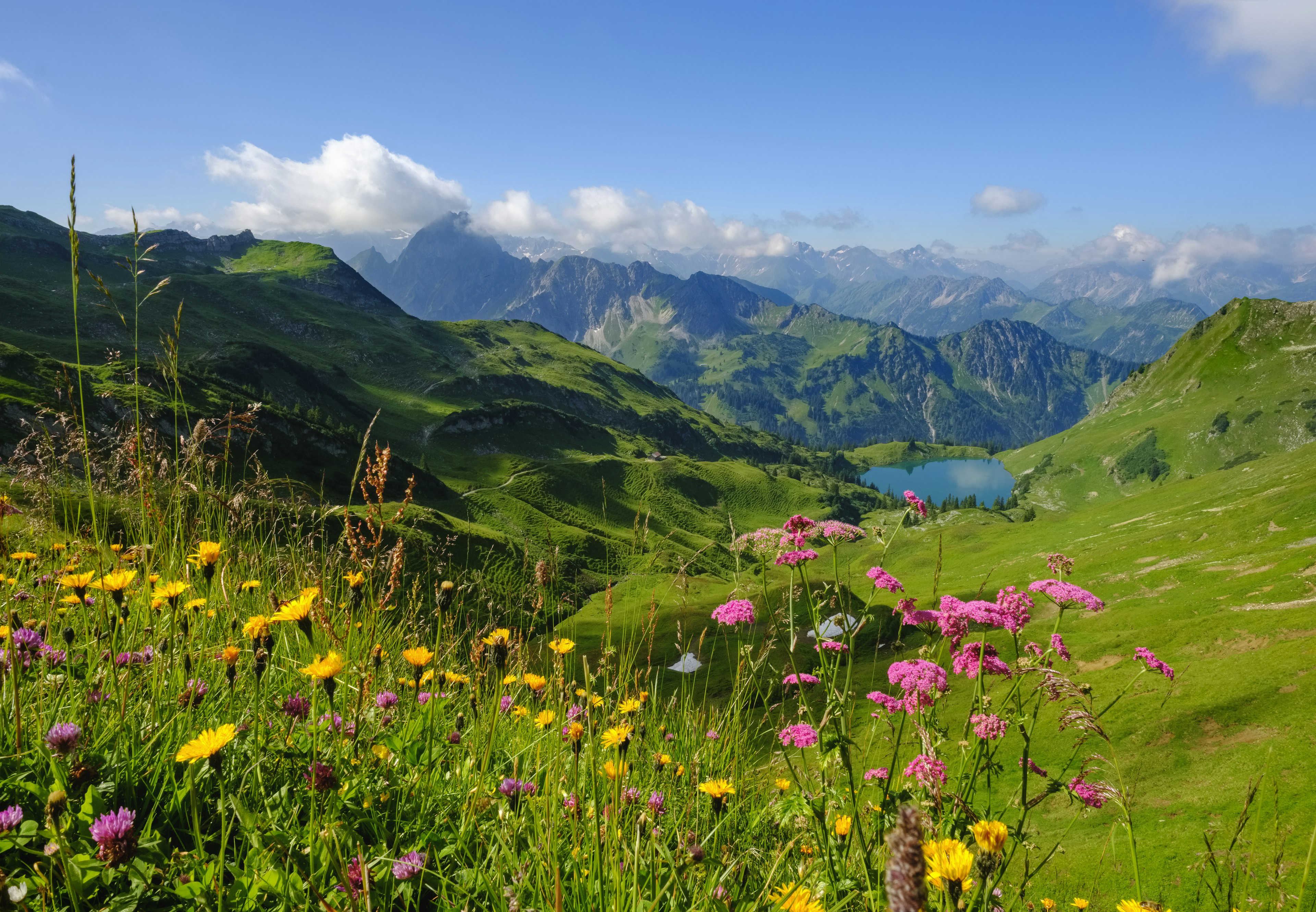 Rolling green hills and mountain peaks, with yellow, pink and purple wild flowers, lead down to a lake