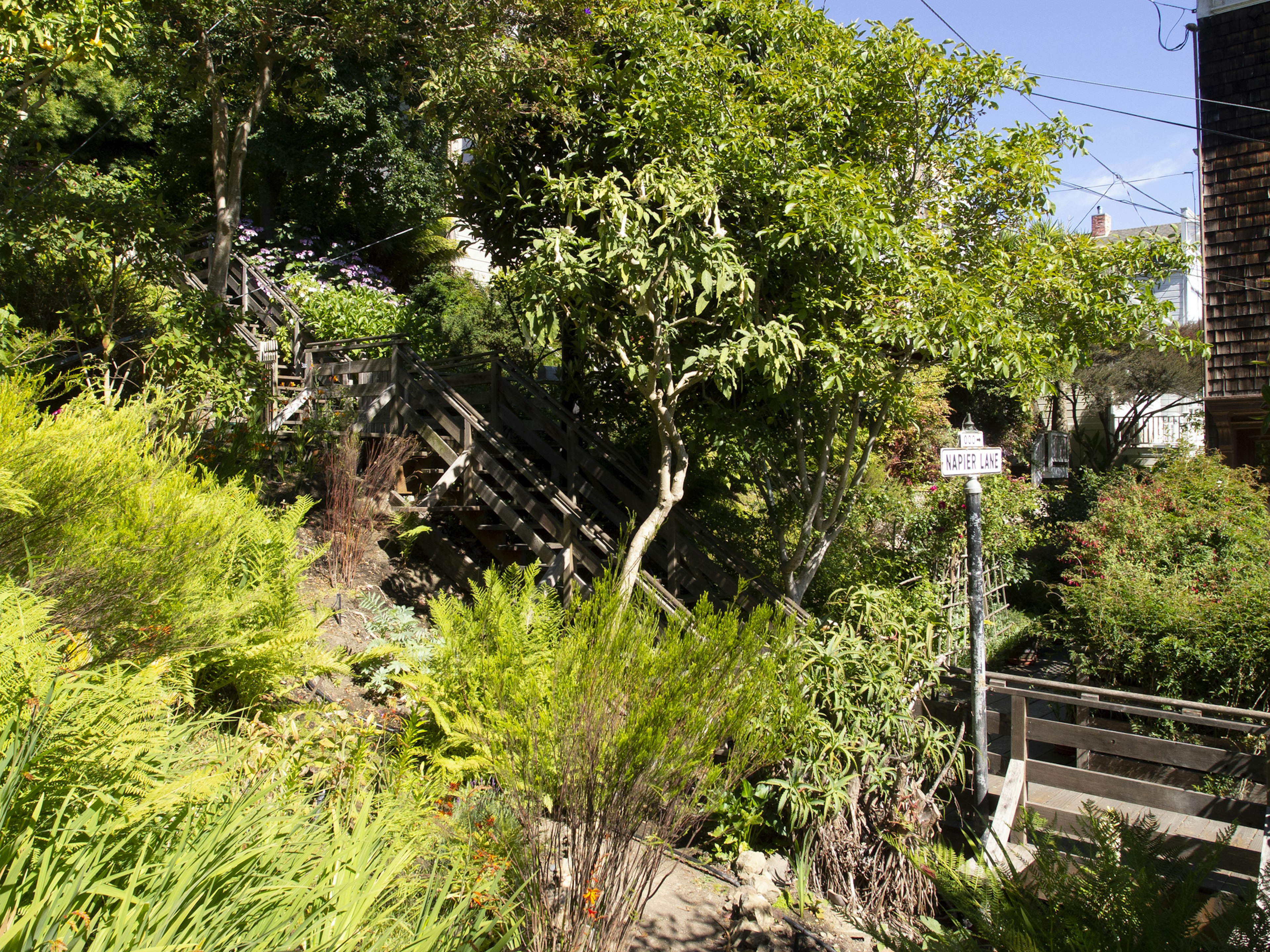 Naiper Lane on Filbert Street Stairs