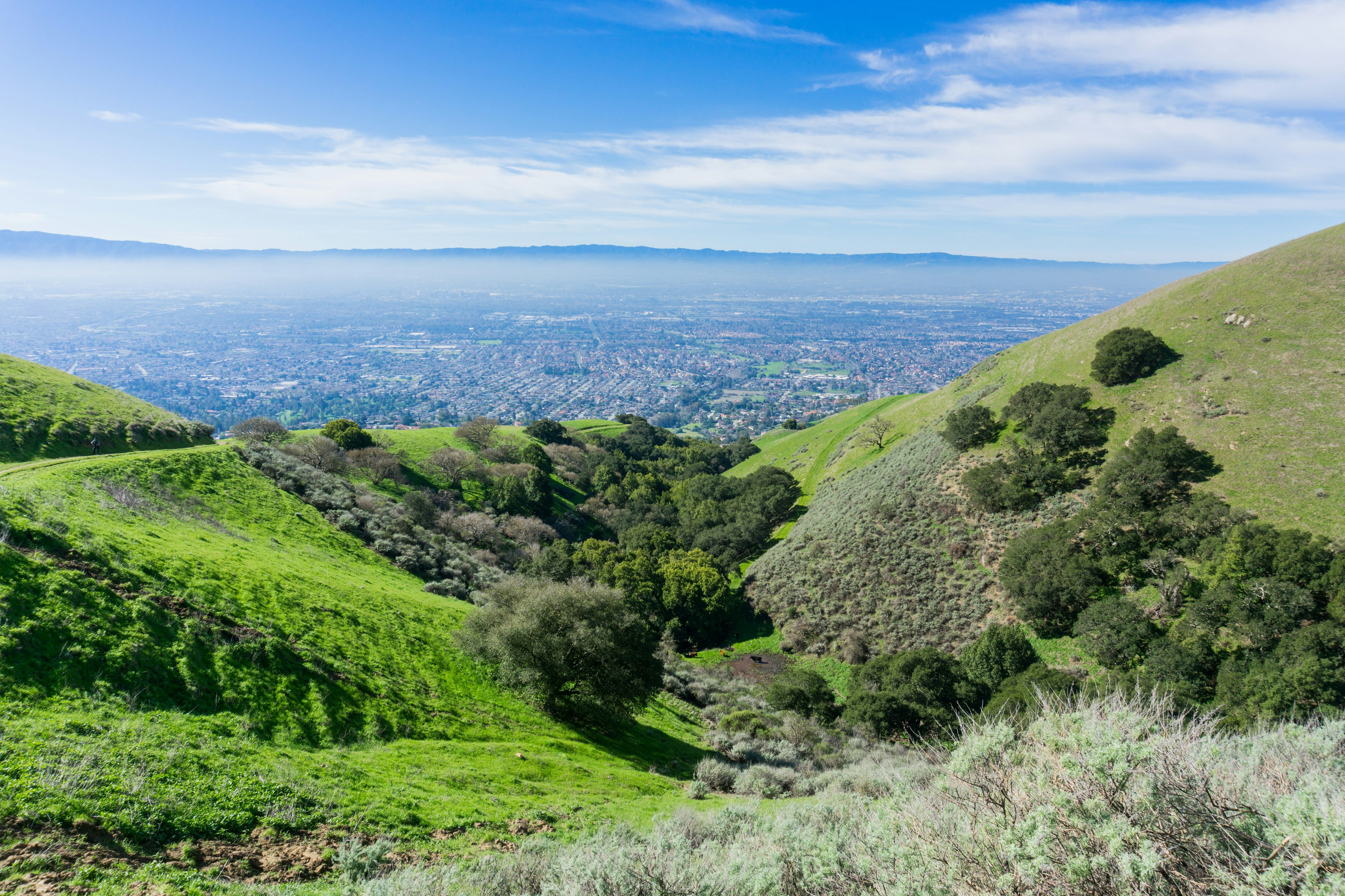 View towards a built-up area from the hills of a vast hilly parkland