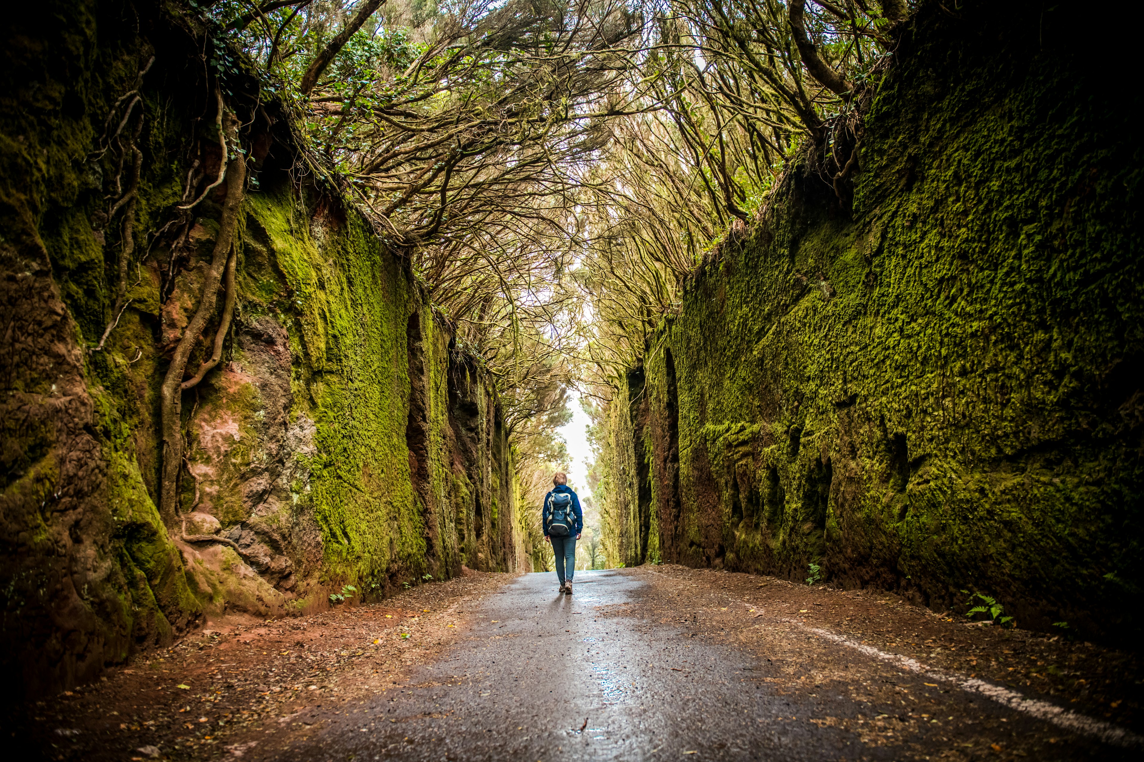 Woman exploring Anaga Rural Park, Tenerife