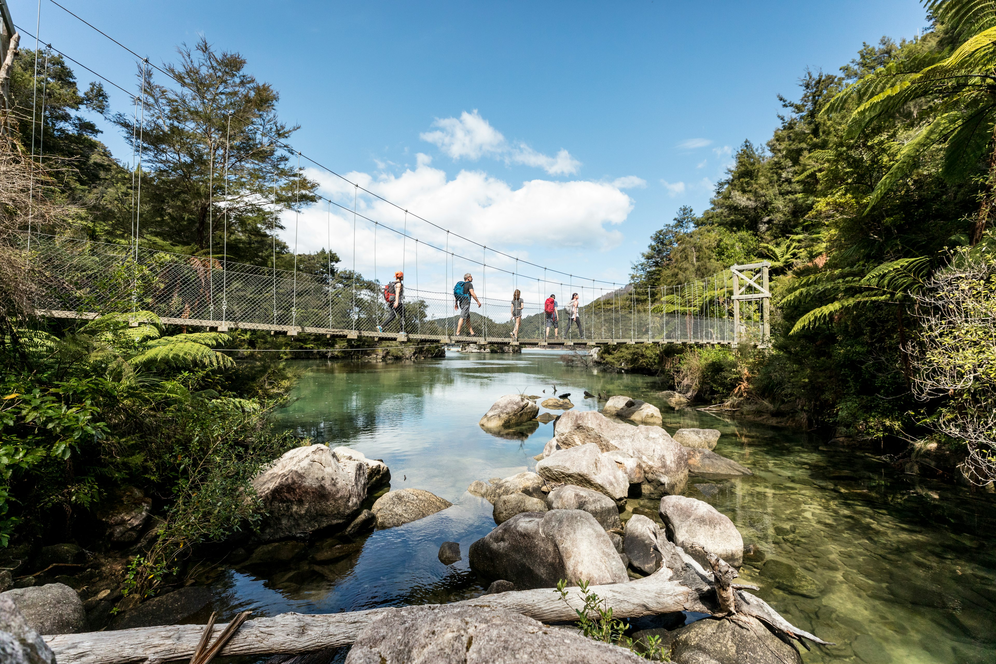 Trekking one of the many great hikes of New Zealand