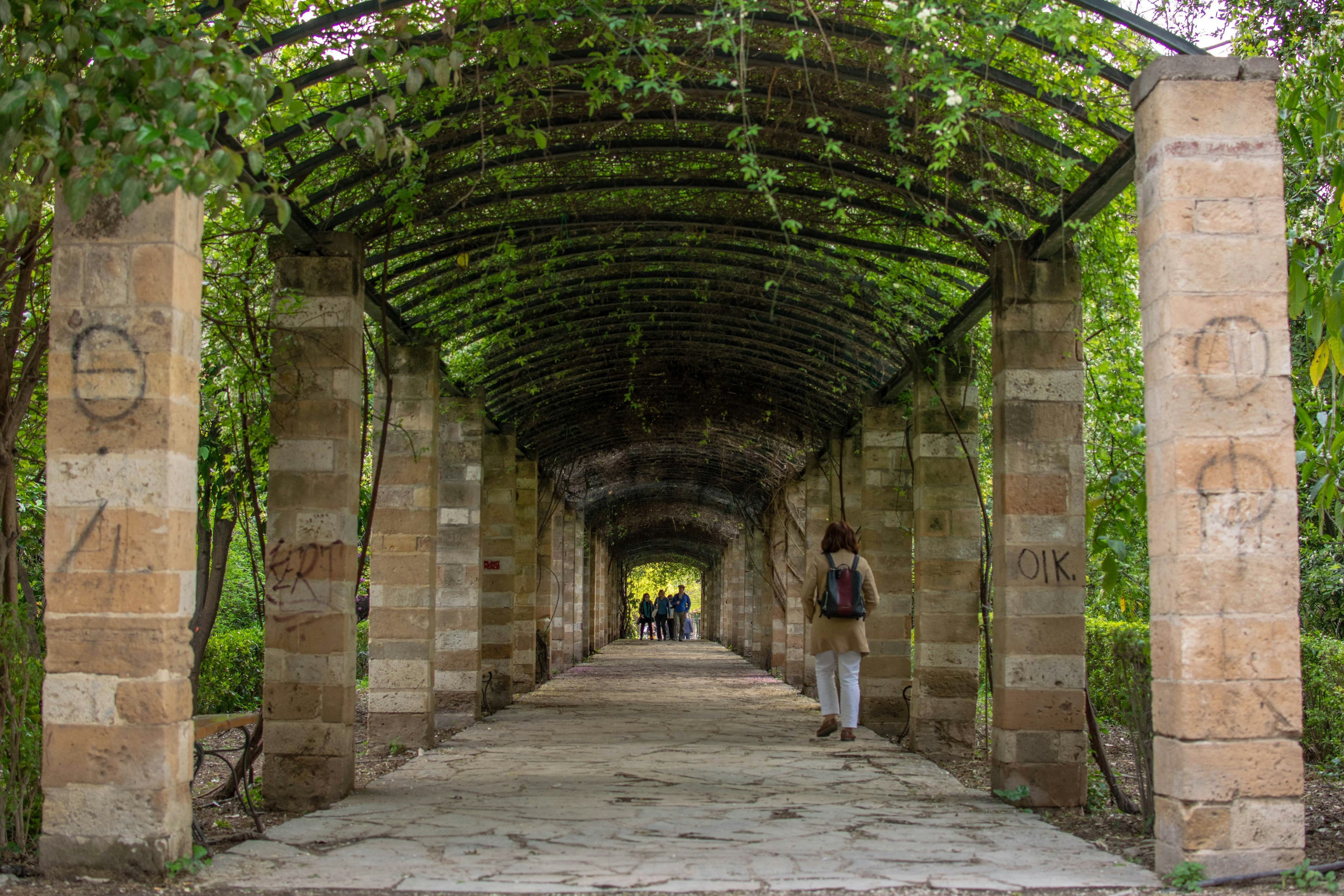 A verdant archway full of plants at the National Garden in Athens