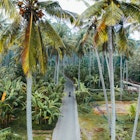 Scenic aerial view of young Caucasian  woman driving scooter in the jungles on Nusa Penida, Bali, Indonesia
1157200421
Scenic aerial view of woman driving scooter in the jungles on Nusa Penida - stock photo
Scenic aerial view of young Caucasian woman driving scooter in the jungles on Nusa Penida, Bali, Indonesia