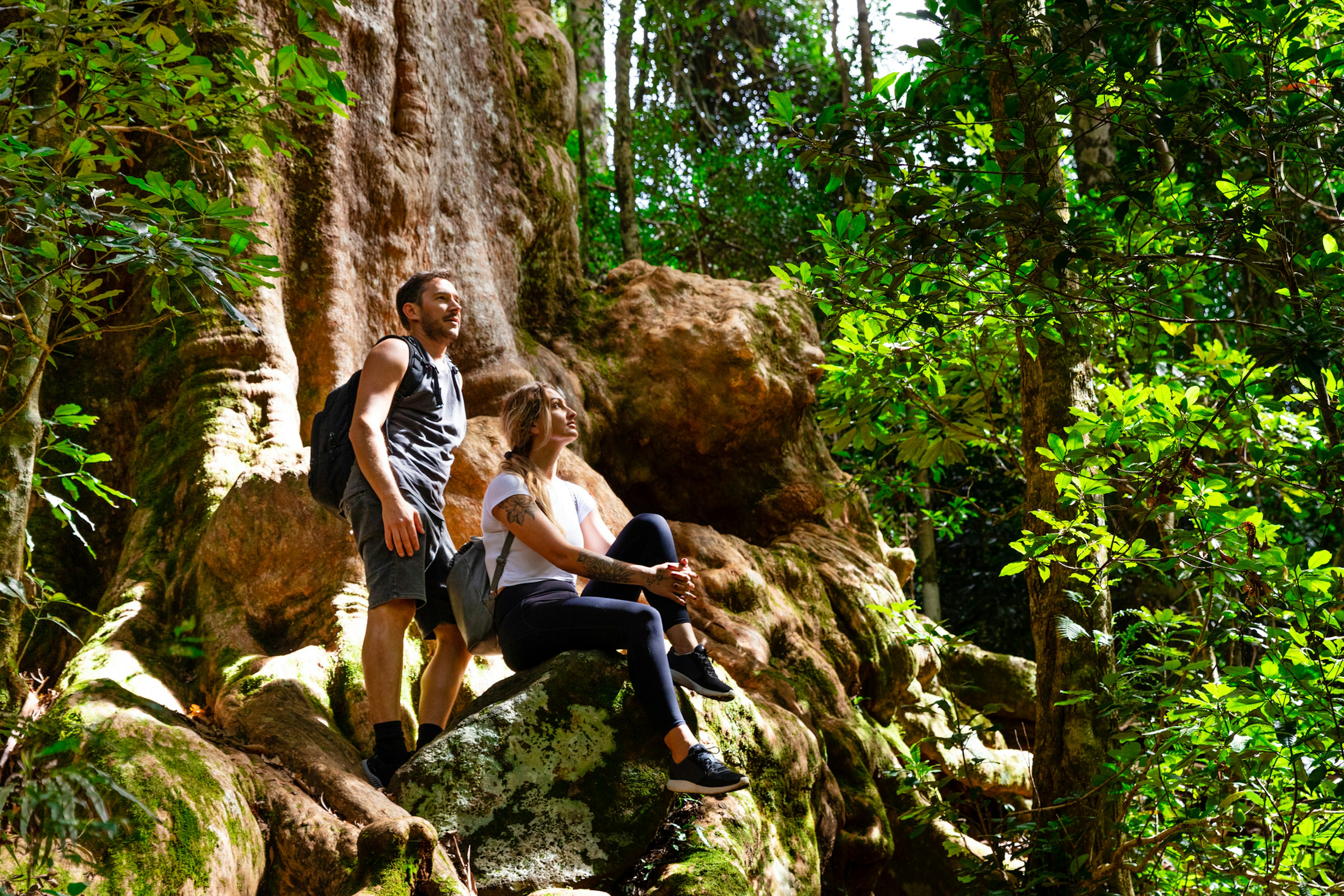 Couple exploring in the lush Lamington National Park, Queensland