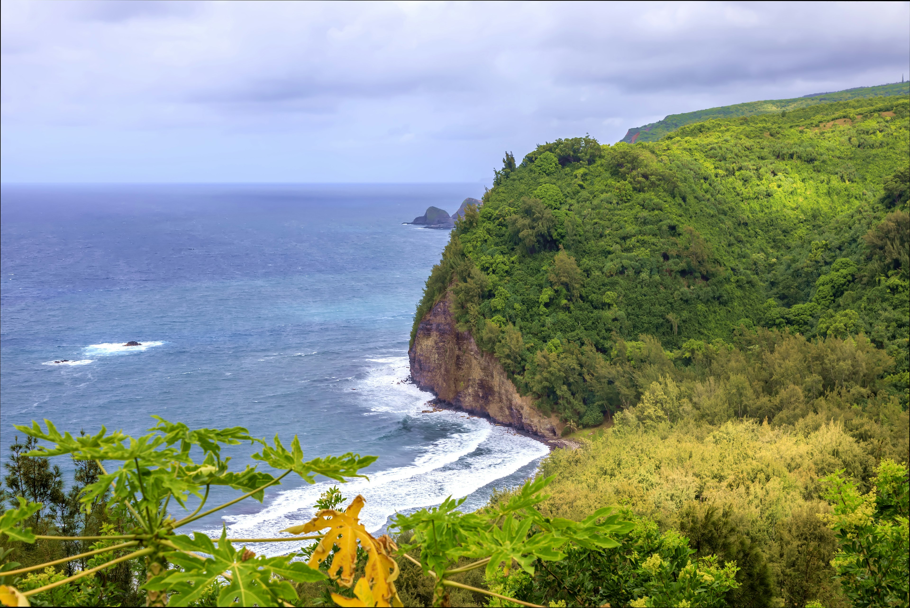 The vibrant, colorful cliffs of Pololu Valley, Big Island