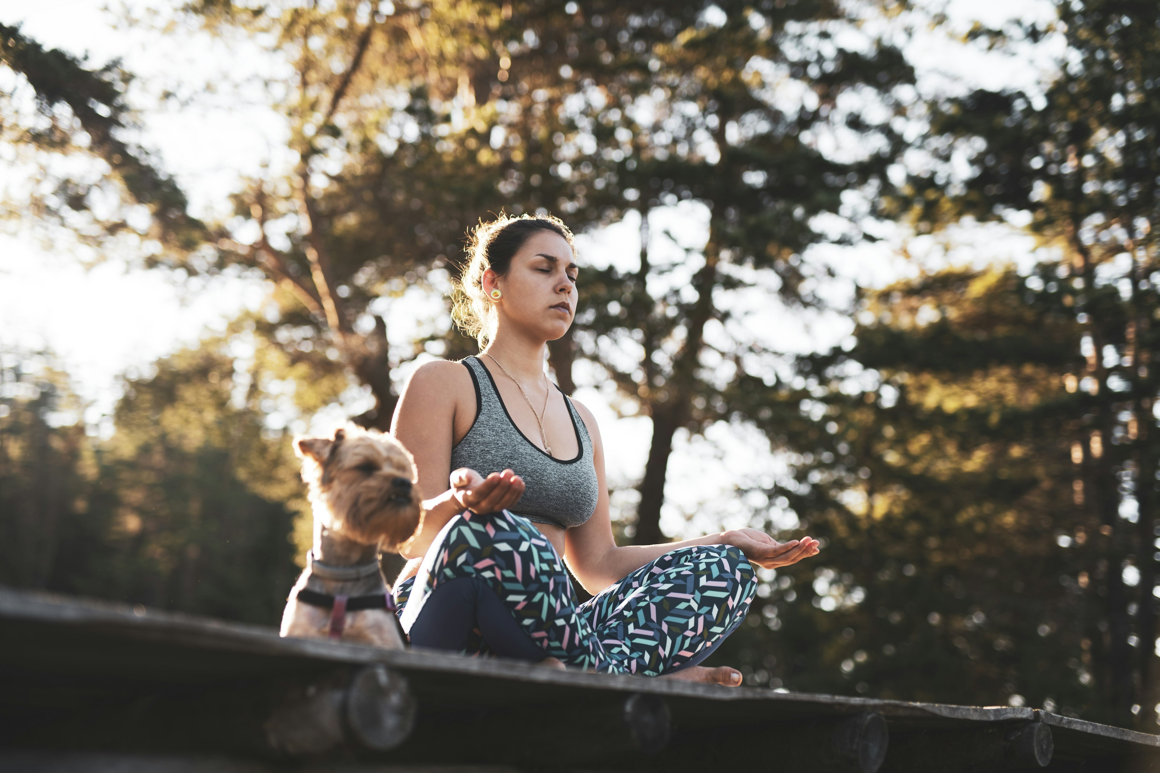 A relaxing meditation with your dog