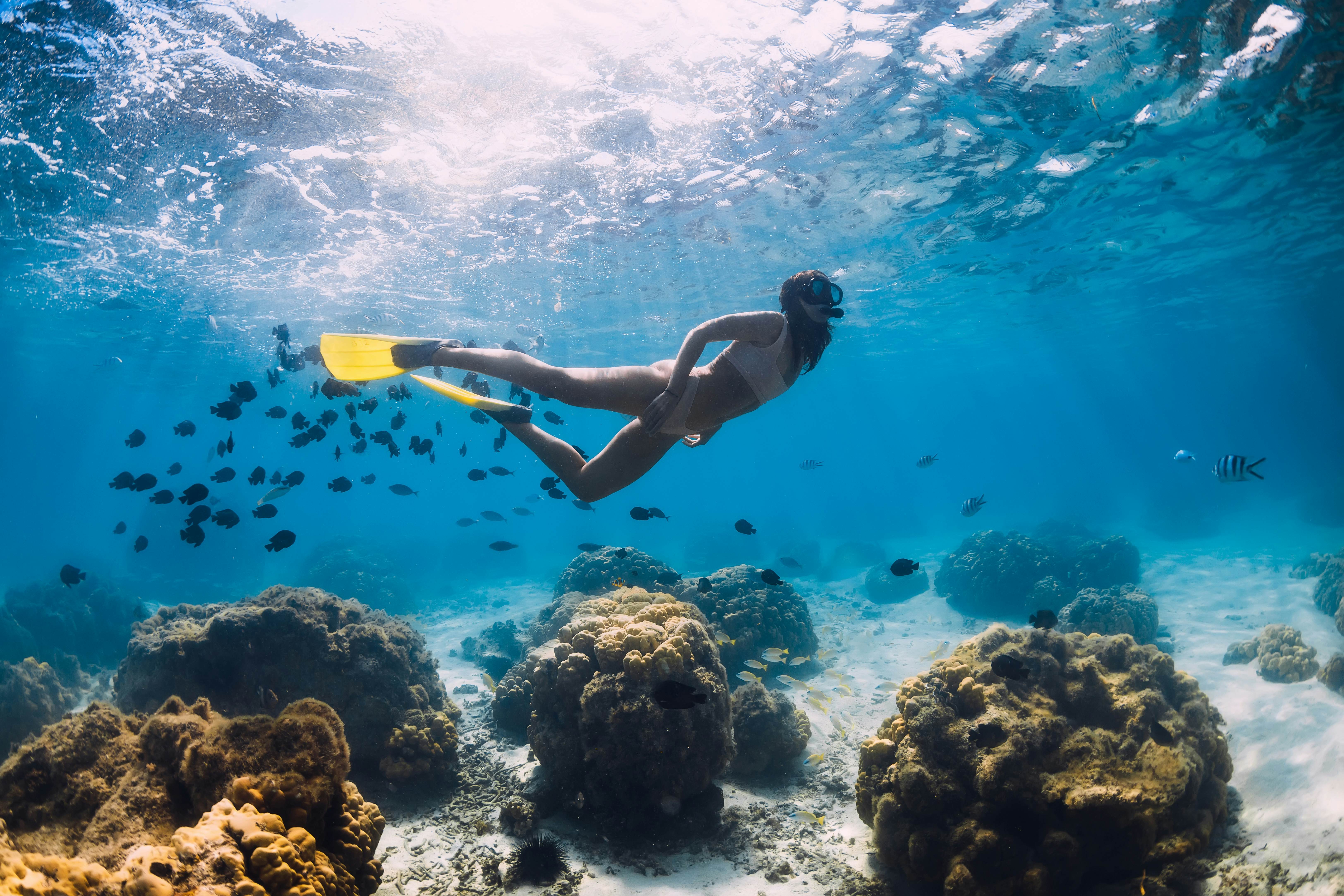 Free diver girl swims with school of fishes in Mauritius