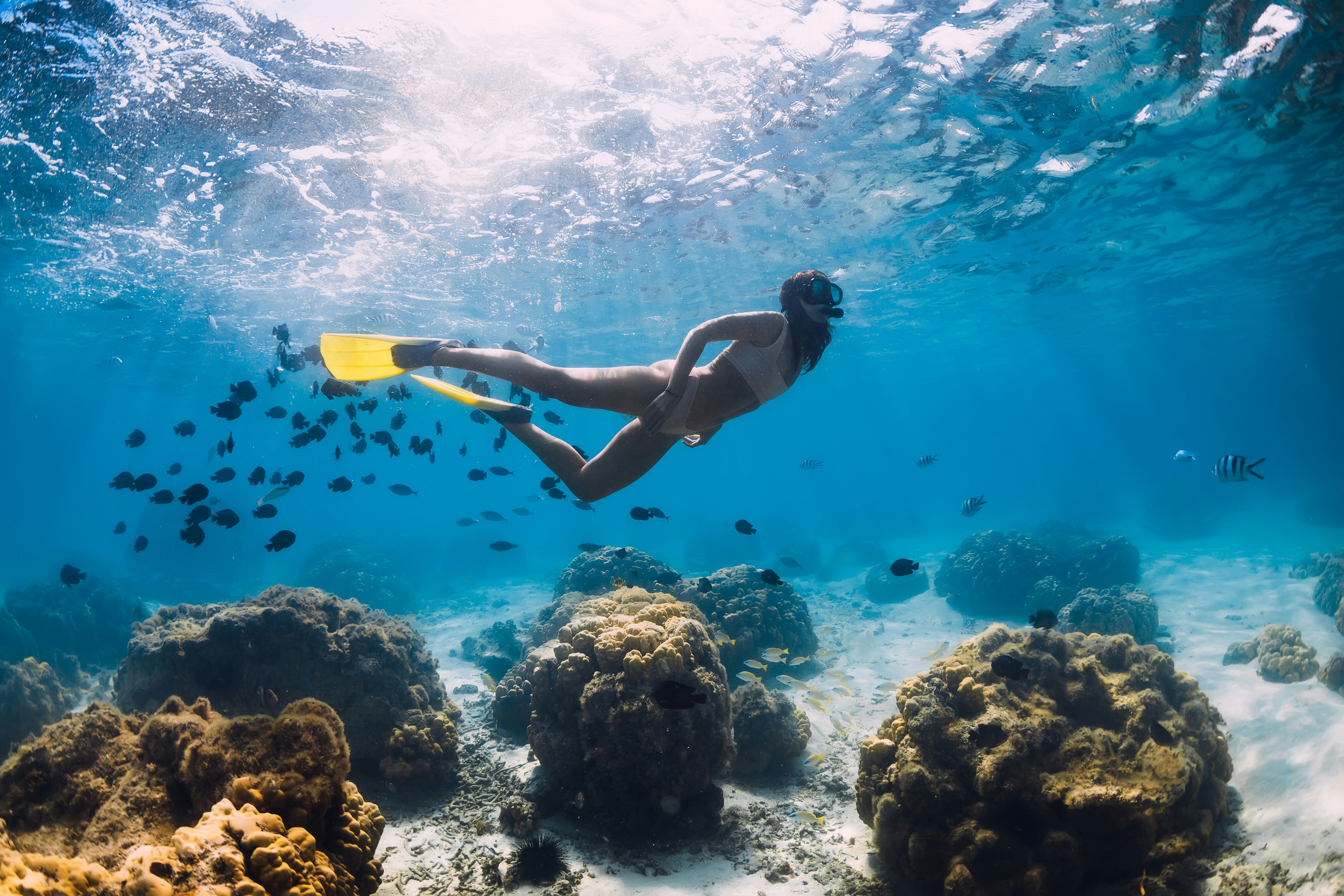 Free diver girl swims with school of fishes in Mauritius