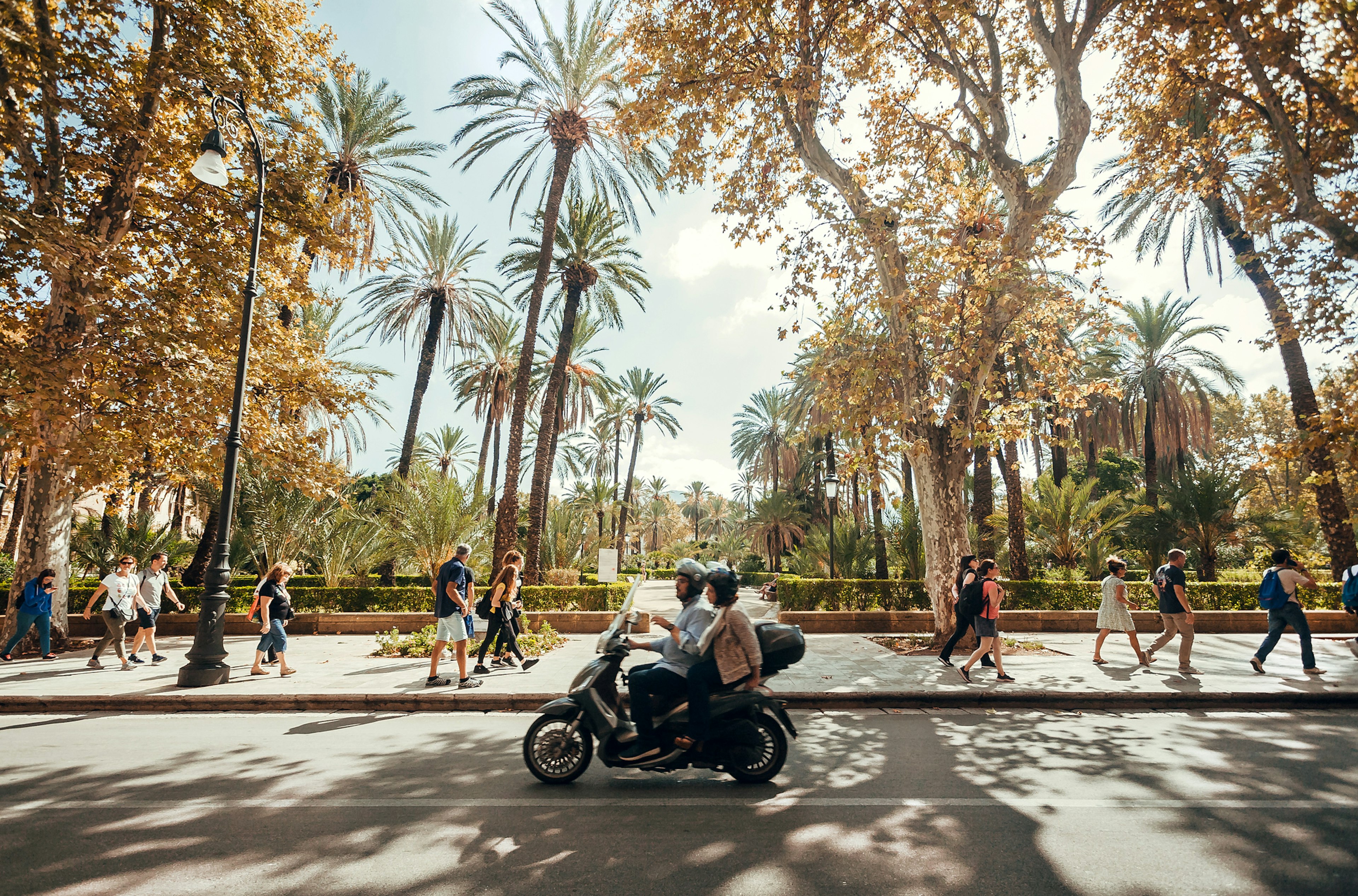 Couple driving motorbike in motion past a green city garden with tall palm trees