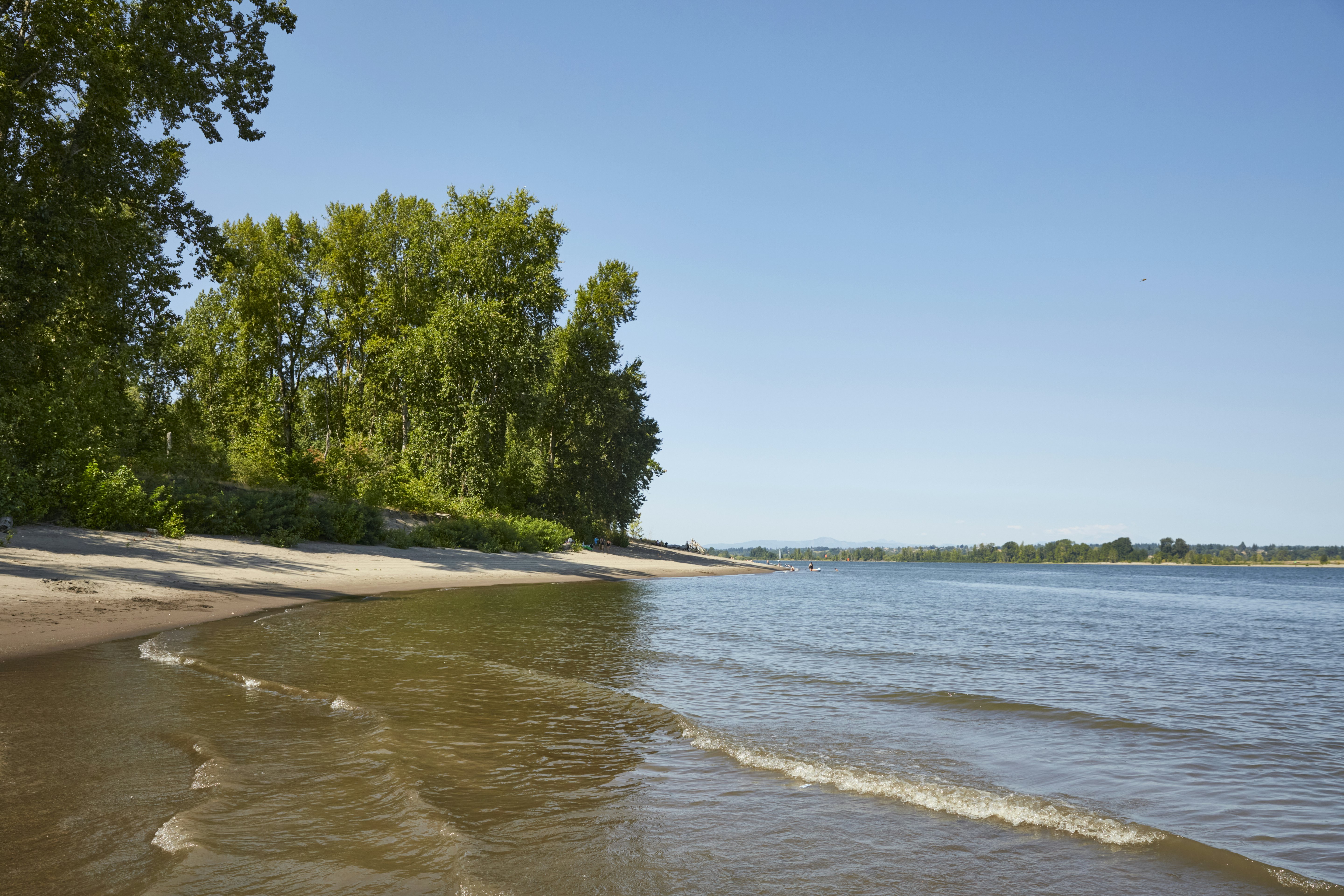 The coastline at a beach on Sauvie Island along the Columbia River in Portland, Oregon