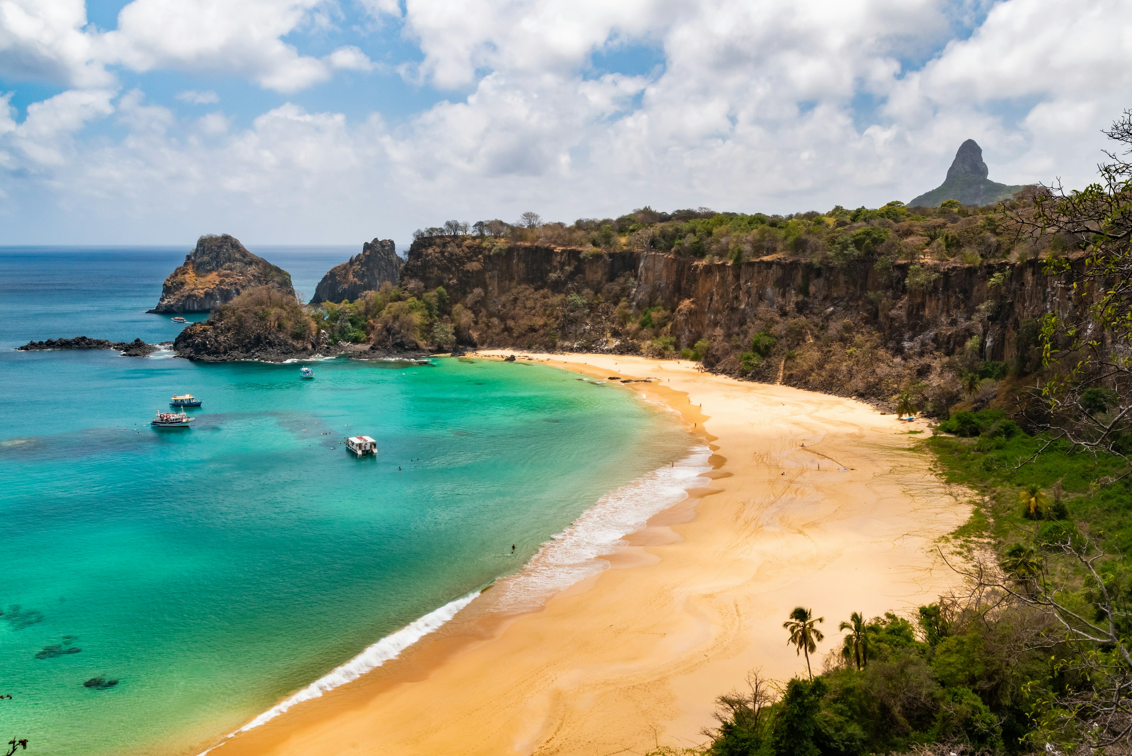 Forest on the edge of the turquoise waters at Baia do Sancho, Brazil