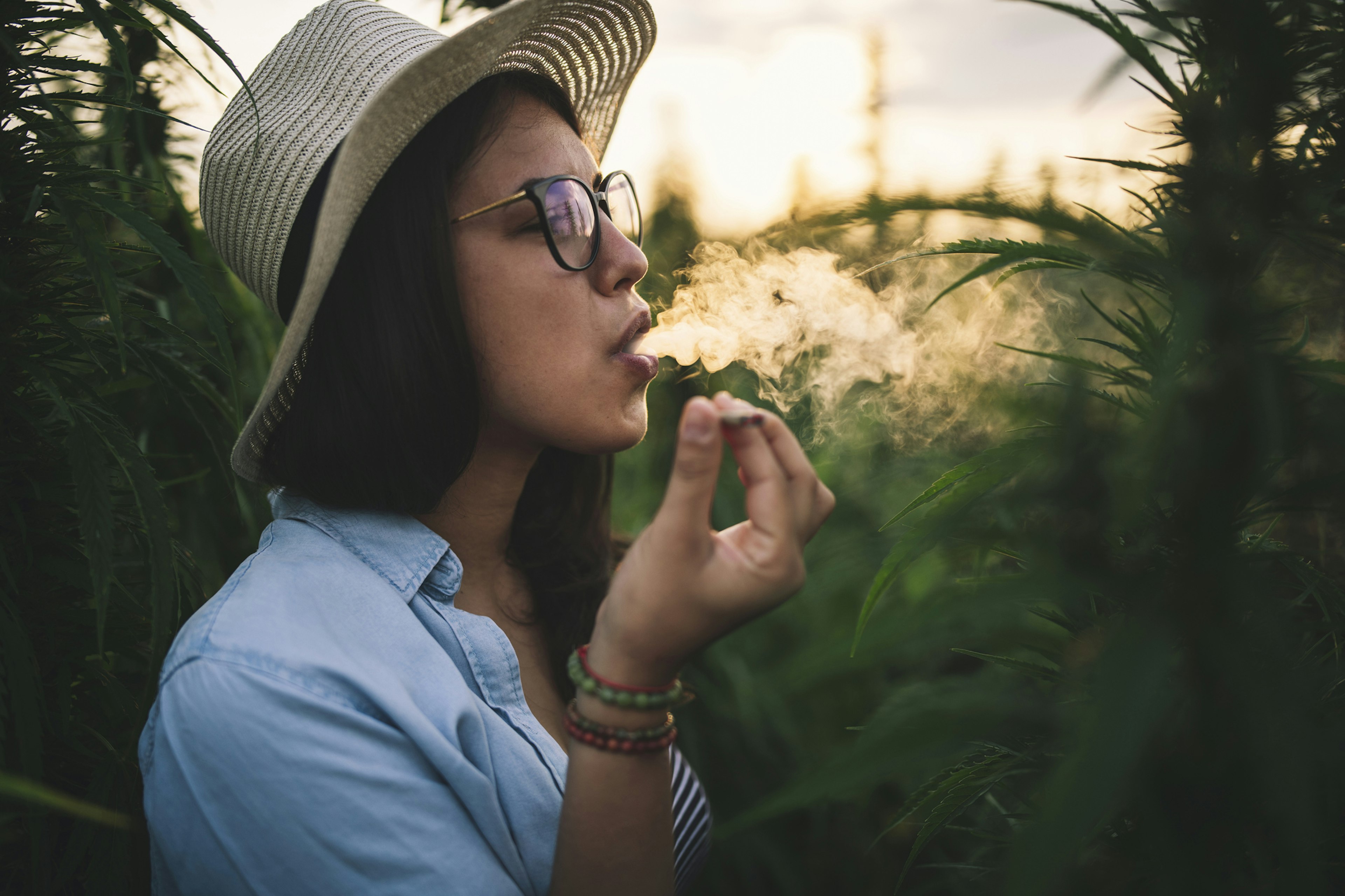 Side view of beautiful woman with hat smoking joint in marijuana plantation at sunset.