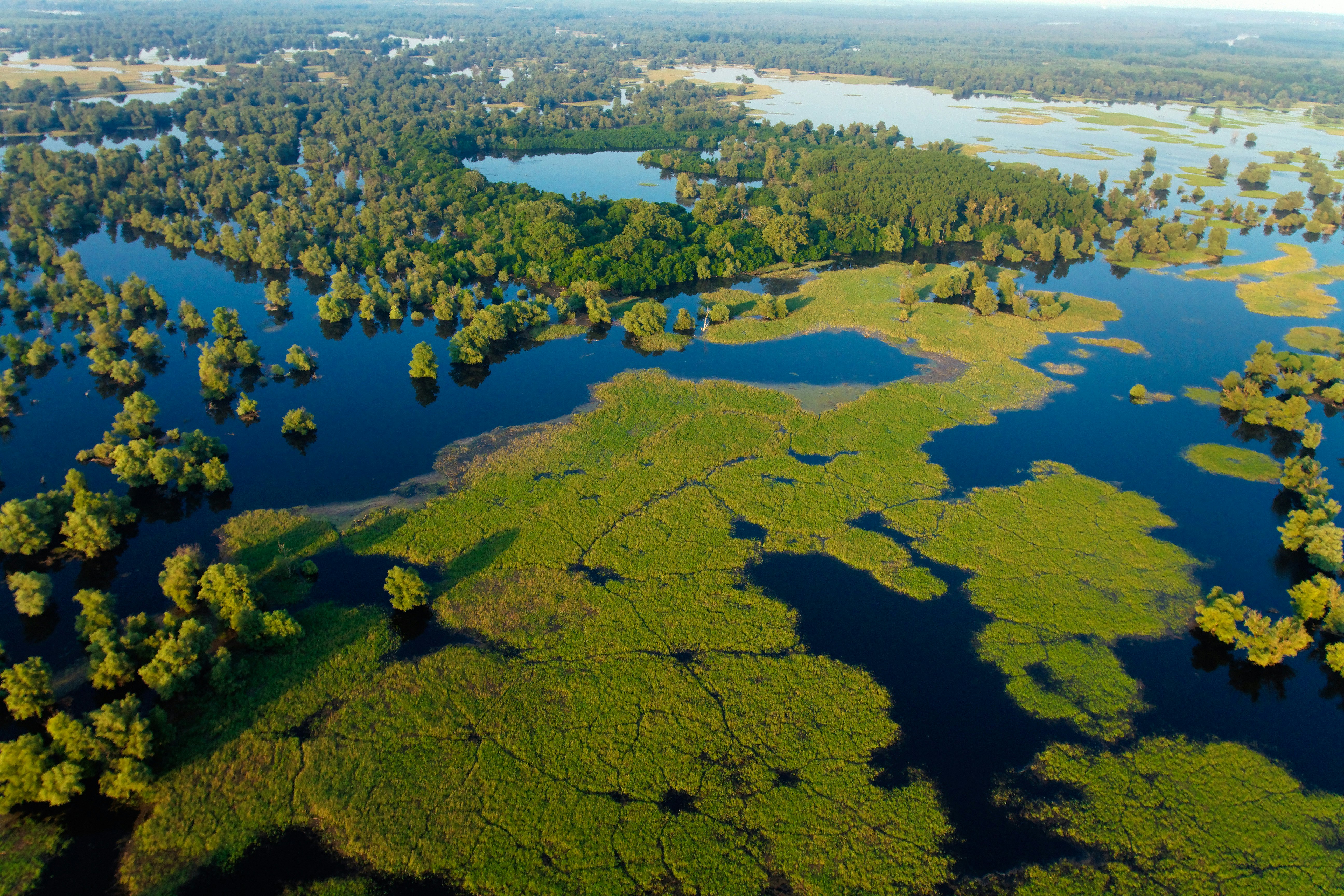 Aerial view of Kopacki Rit Nature Park, Croatia
