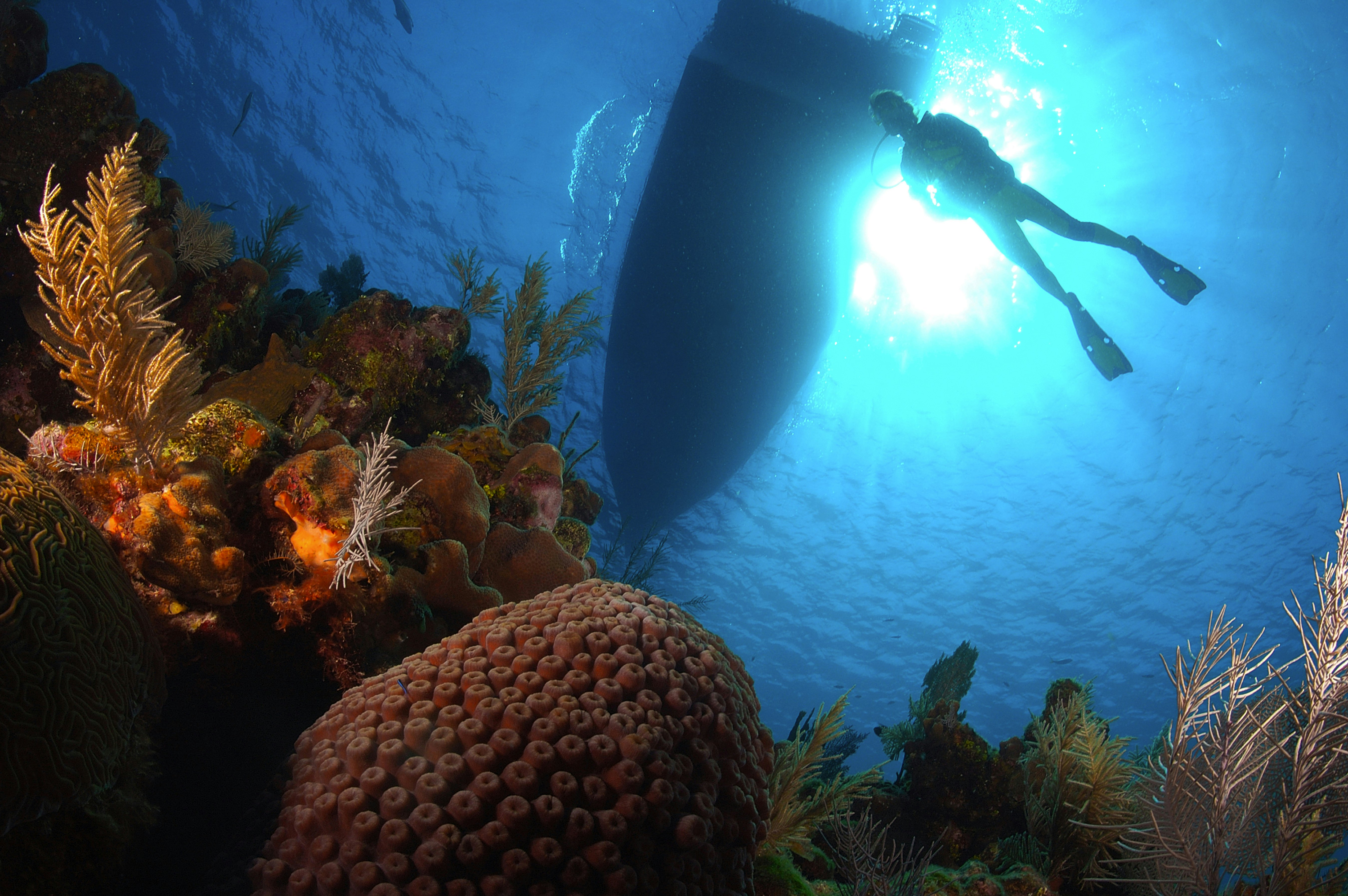 A diver floats underwater between a coral reef and the shadow of a boat