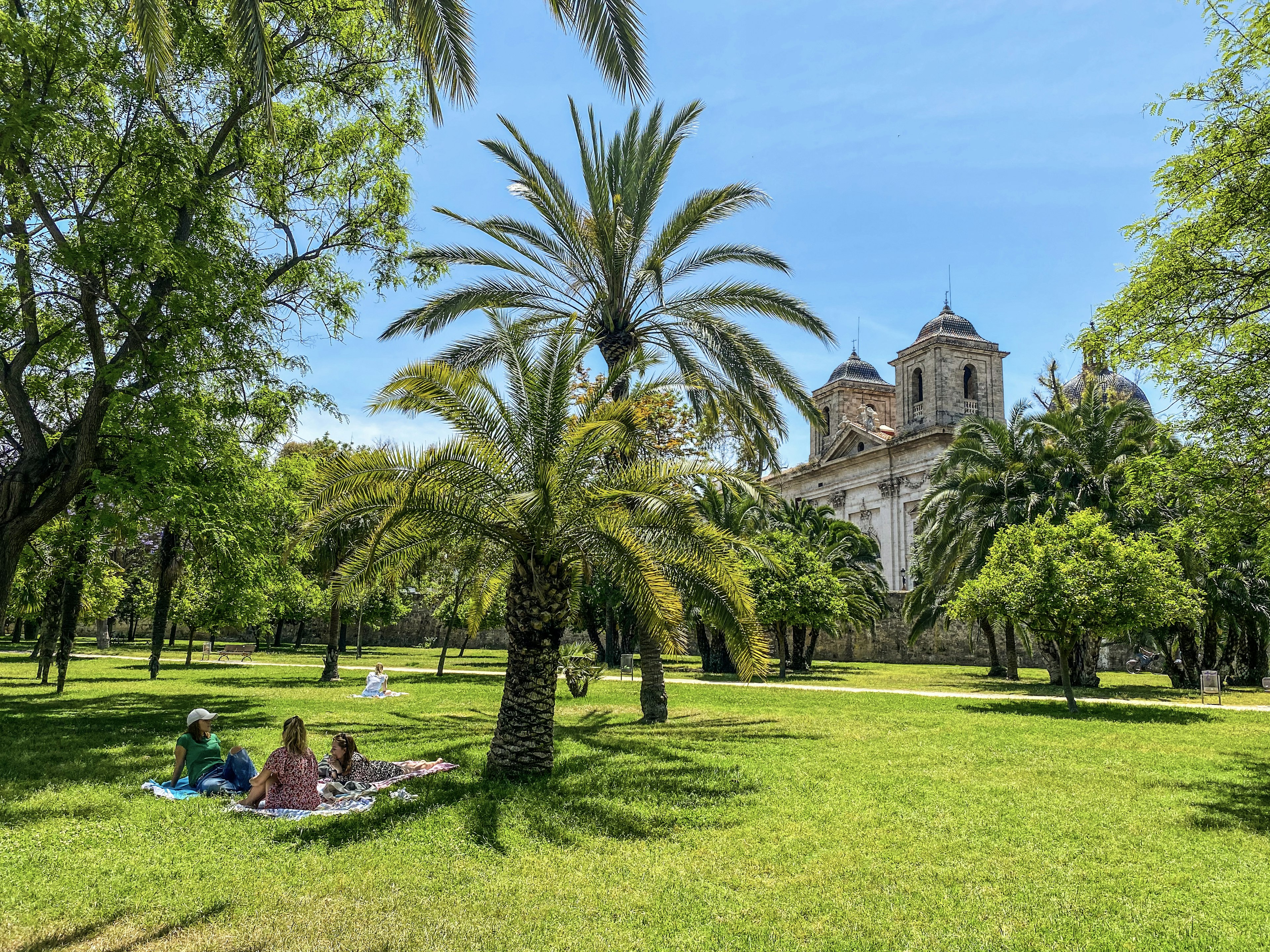 People picnic on the grass under a palm tree in a wide open garden overlooked by medieval towers