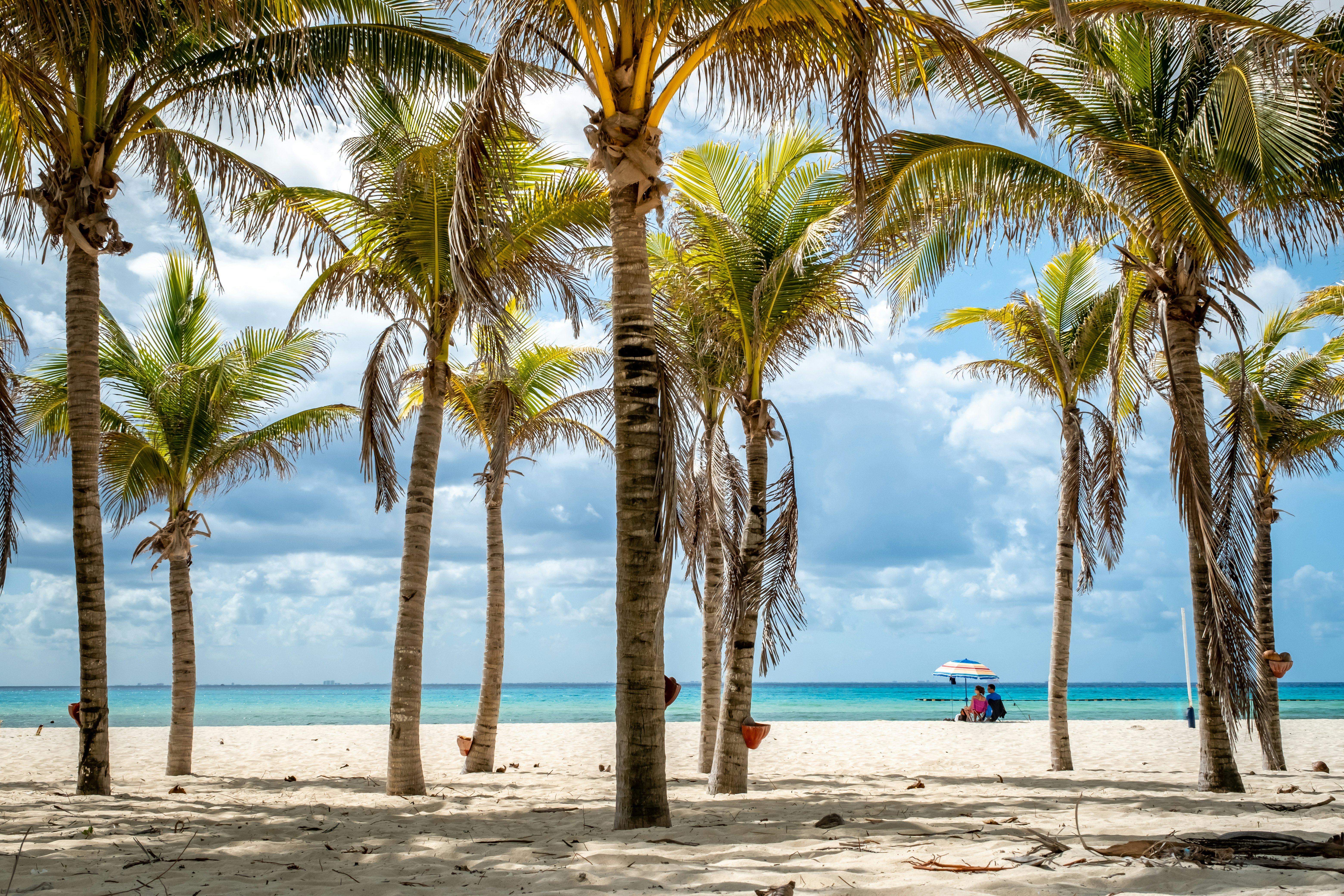 A tropical landscape with coconut palms in front of a white-sand beach and the sea beyond, with two people under a beach umbrella in the distance