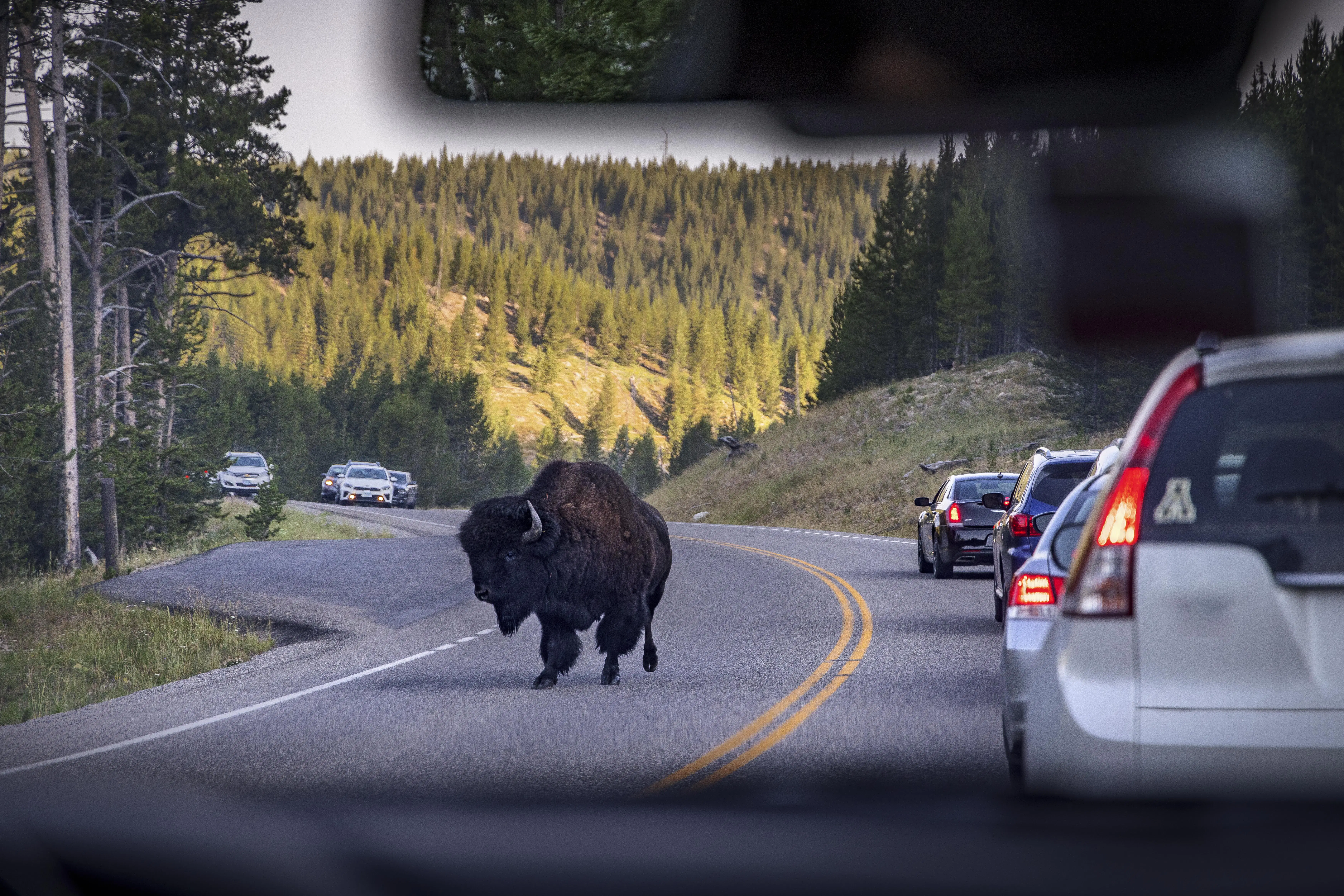 10 best scenic drives in US national parks - Lonely Planet